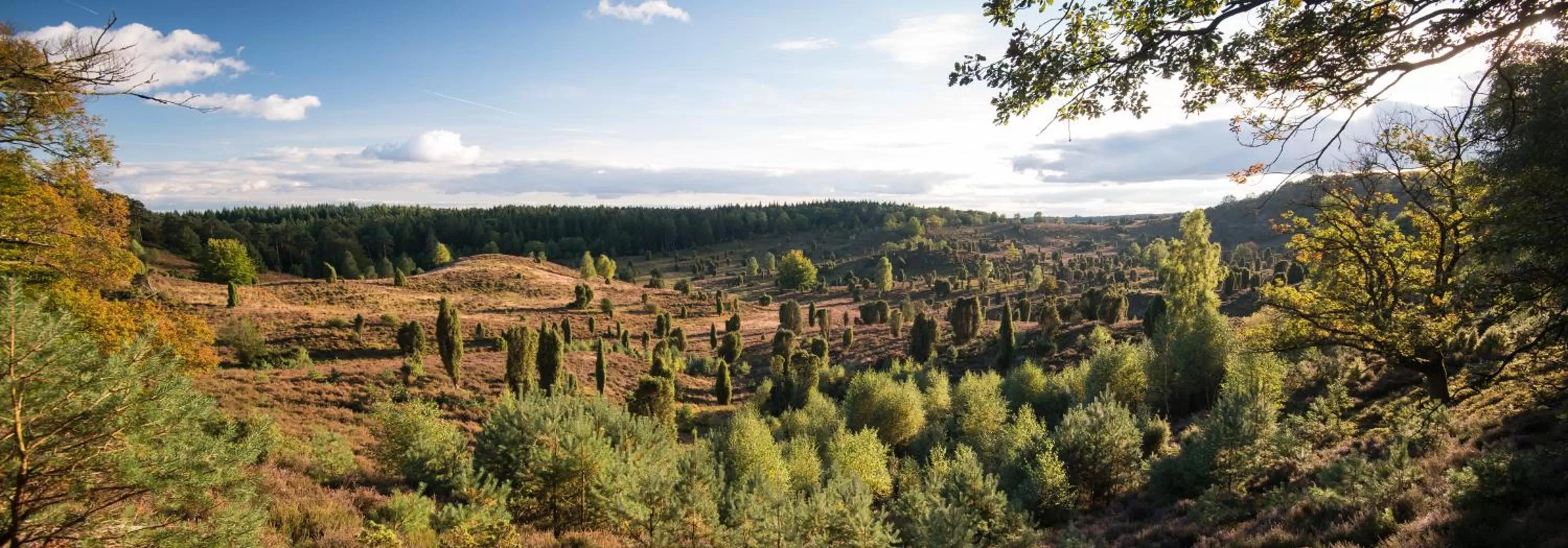 Natural landscape in Schmucke Witwe