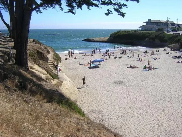 Beach in Sunny Cove Motel