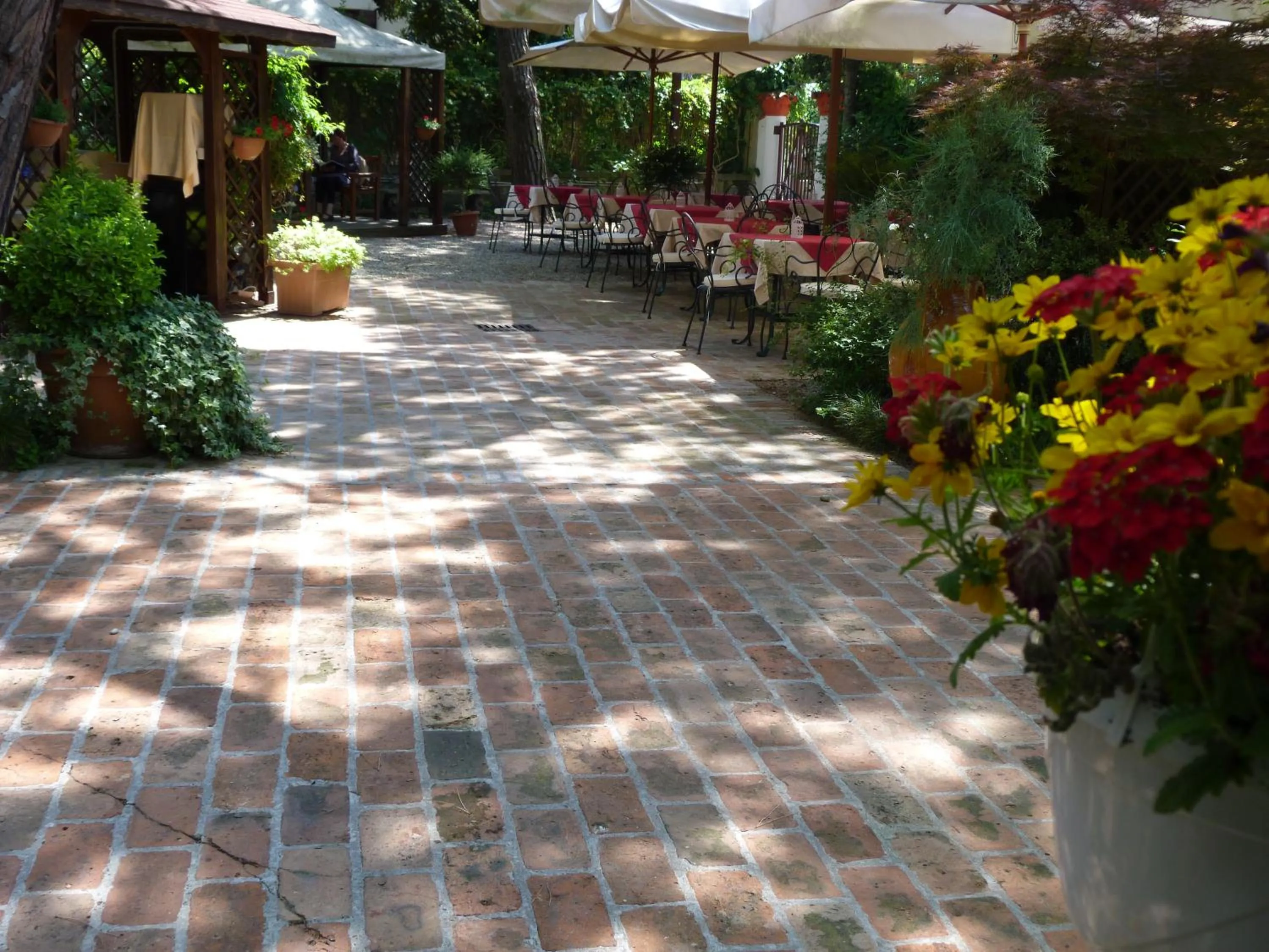 Garden in Hotel La Meridiana