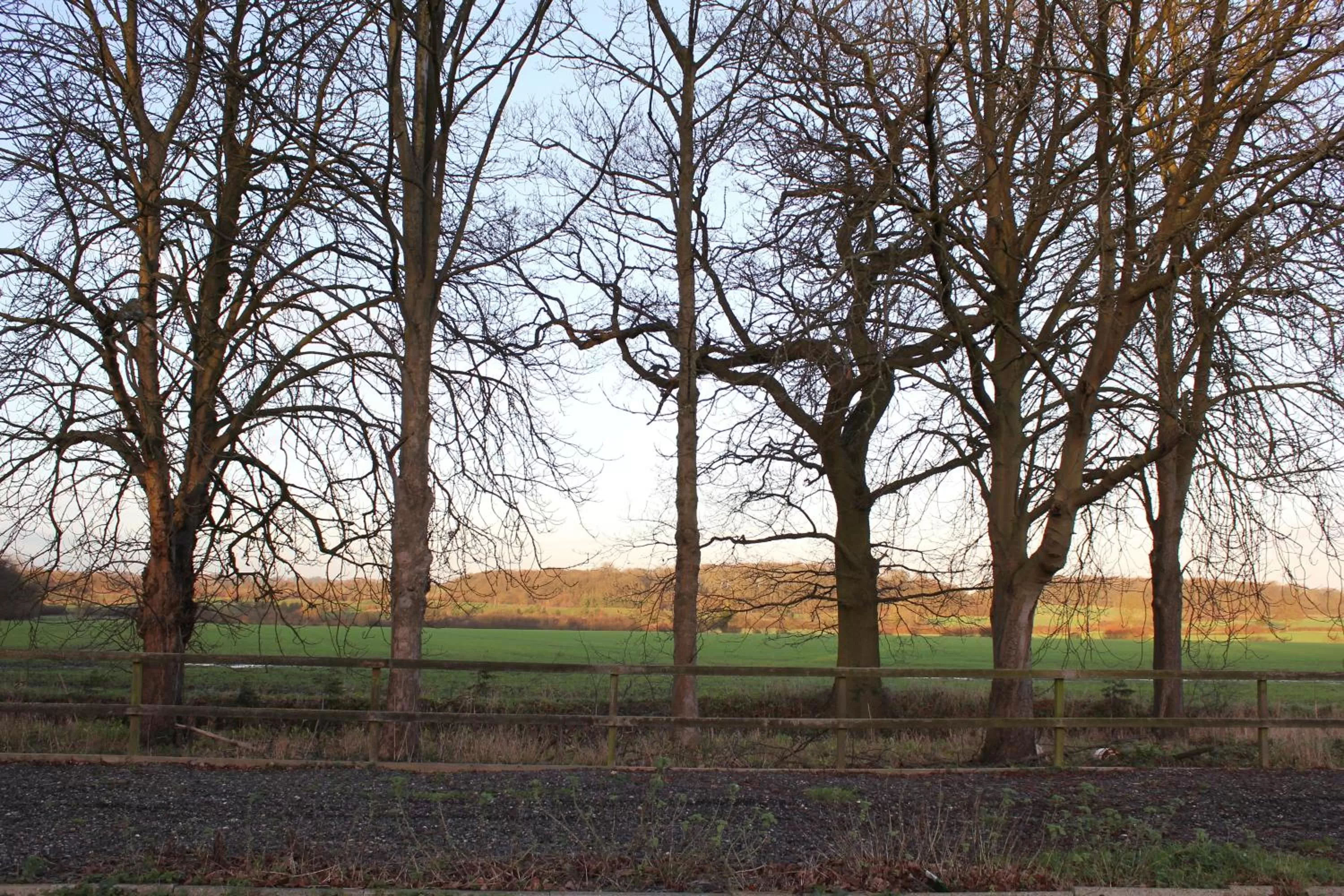 View (from property/room) in Desalis Hotel London Stansted