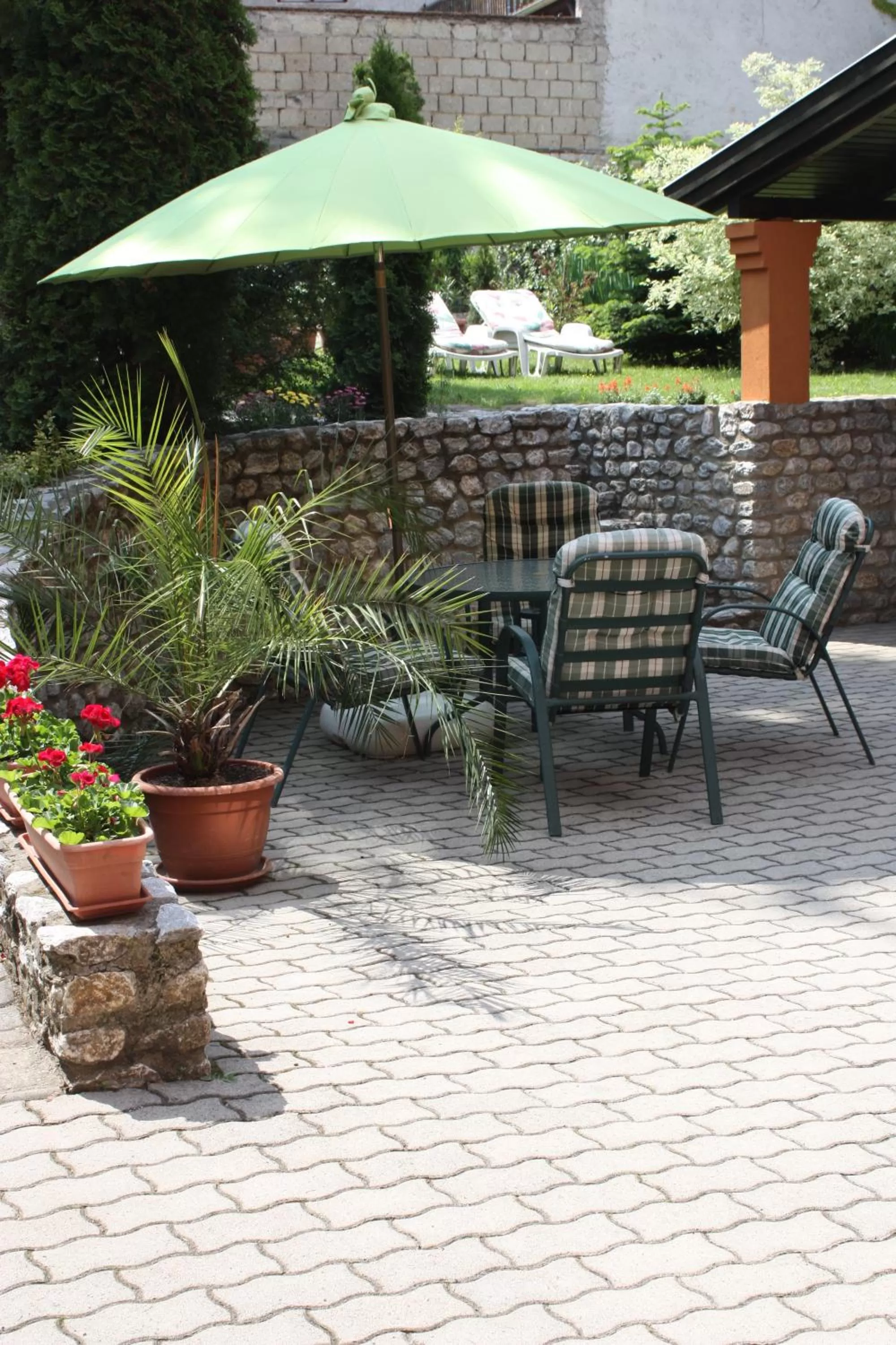 Garden in Európa Panzió