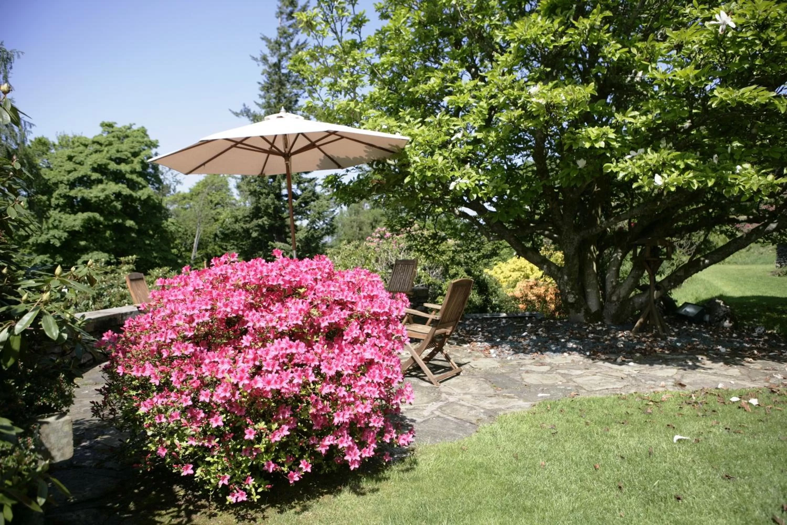 Garden in Lindeth Howe