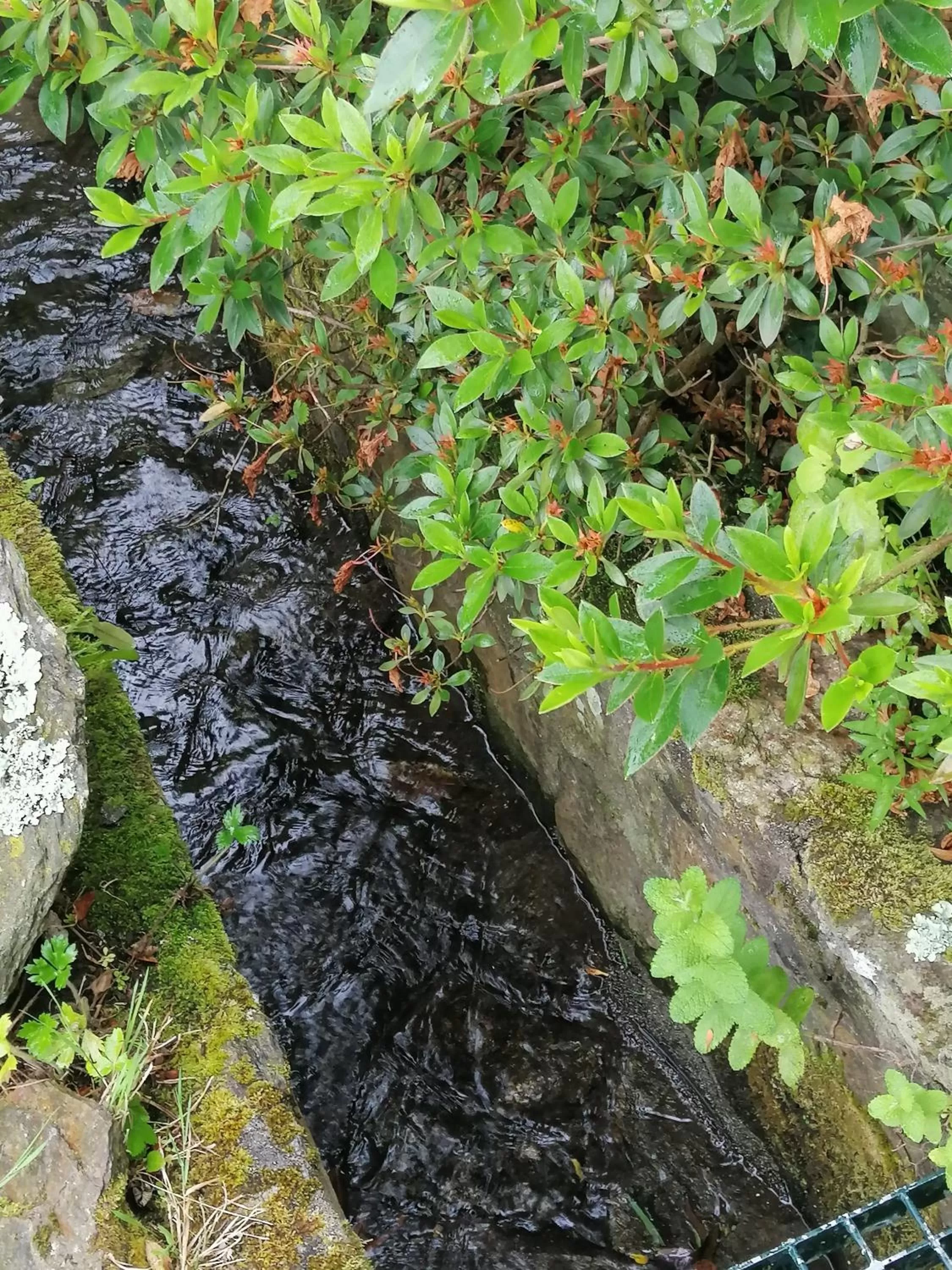 Spring in Lar da Mota Boutique Hotel