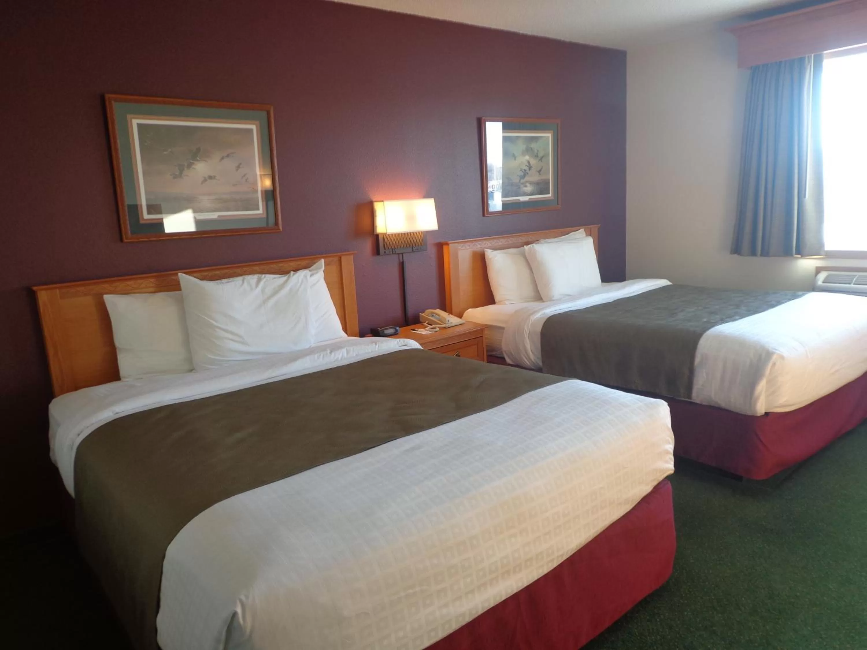 Bed in AmericInn by Wyndham Madison SD