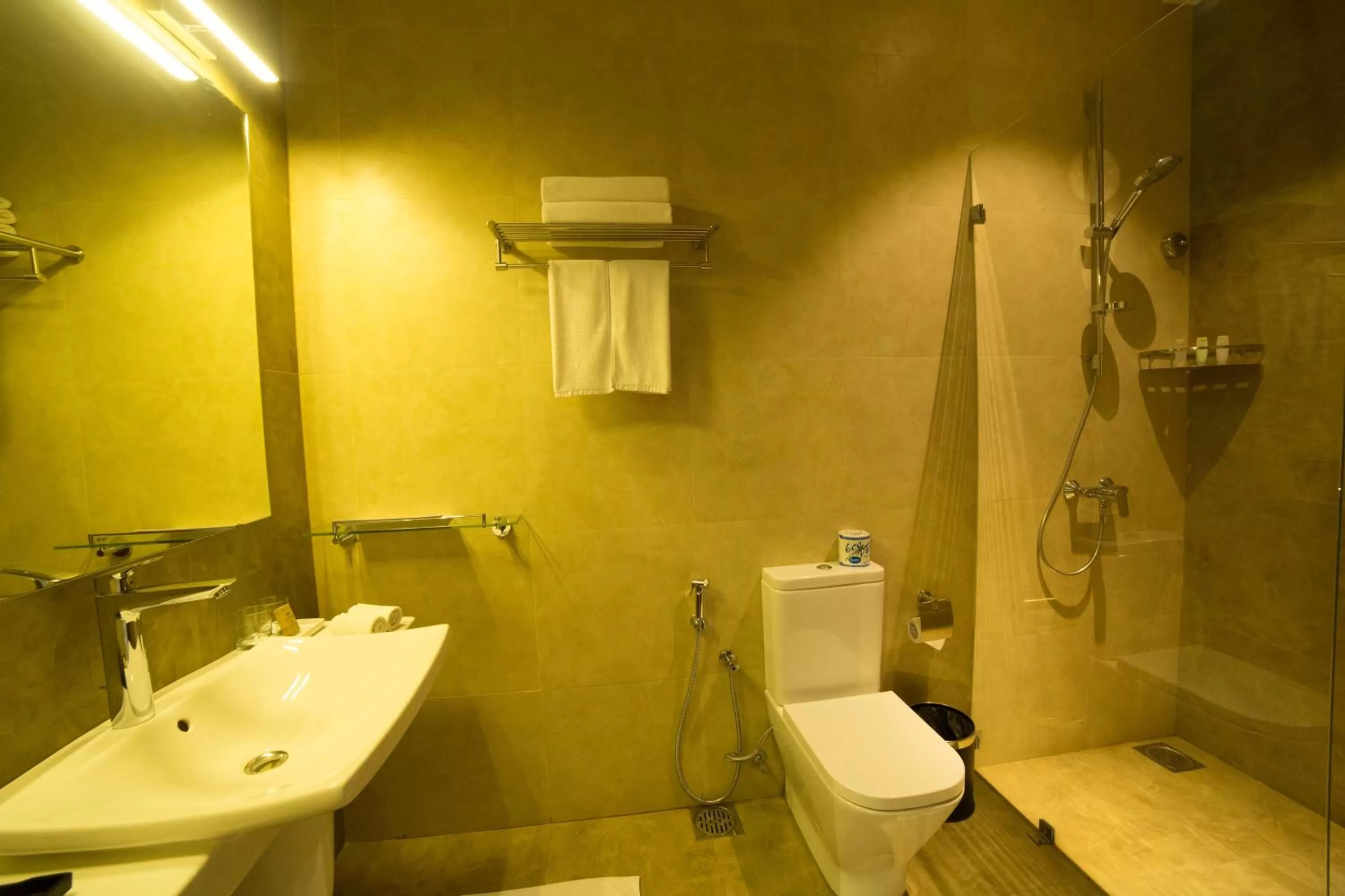Shower, Bathroom in The Thinnai - All-Suites Boutique Hotel