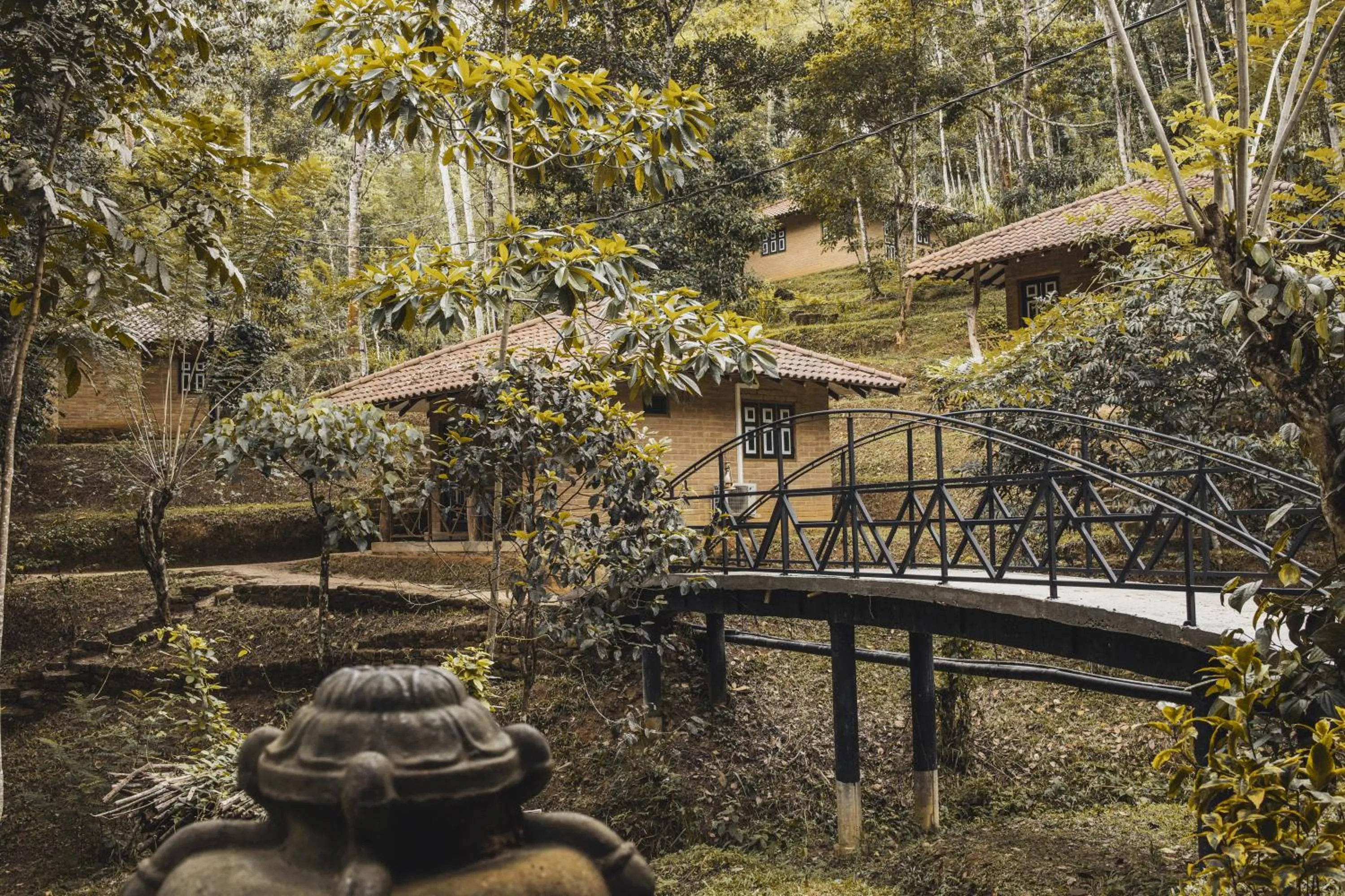 Property building in Tree of Life Nature Resort