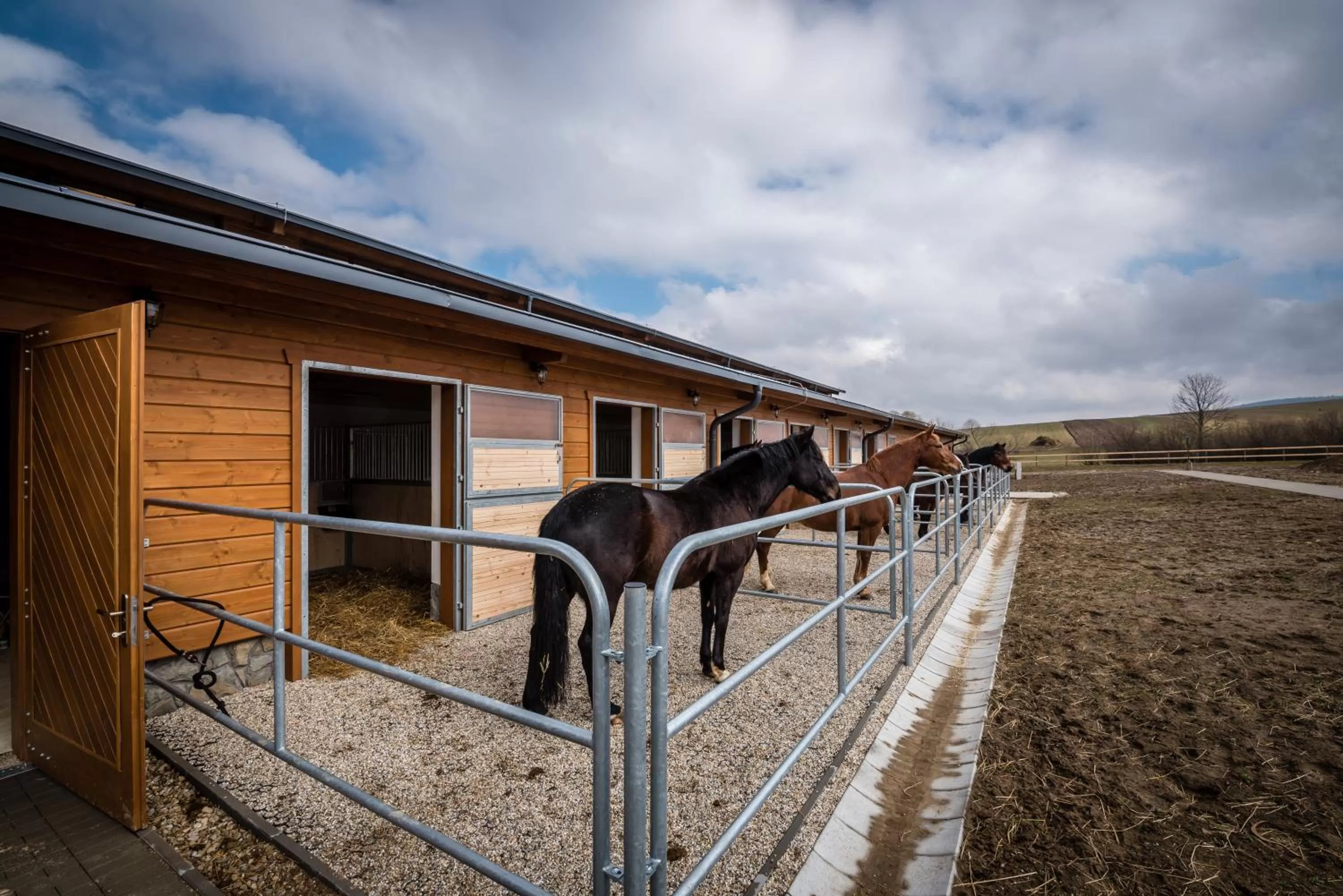 Horse-riding in Oravský Háj Garden Hotel & Resort