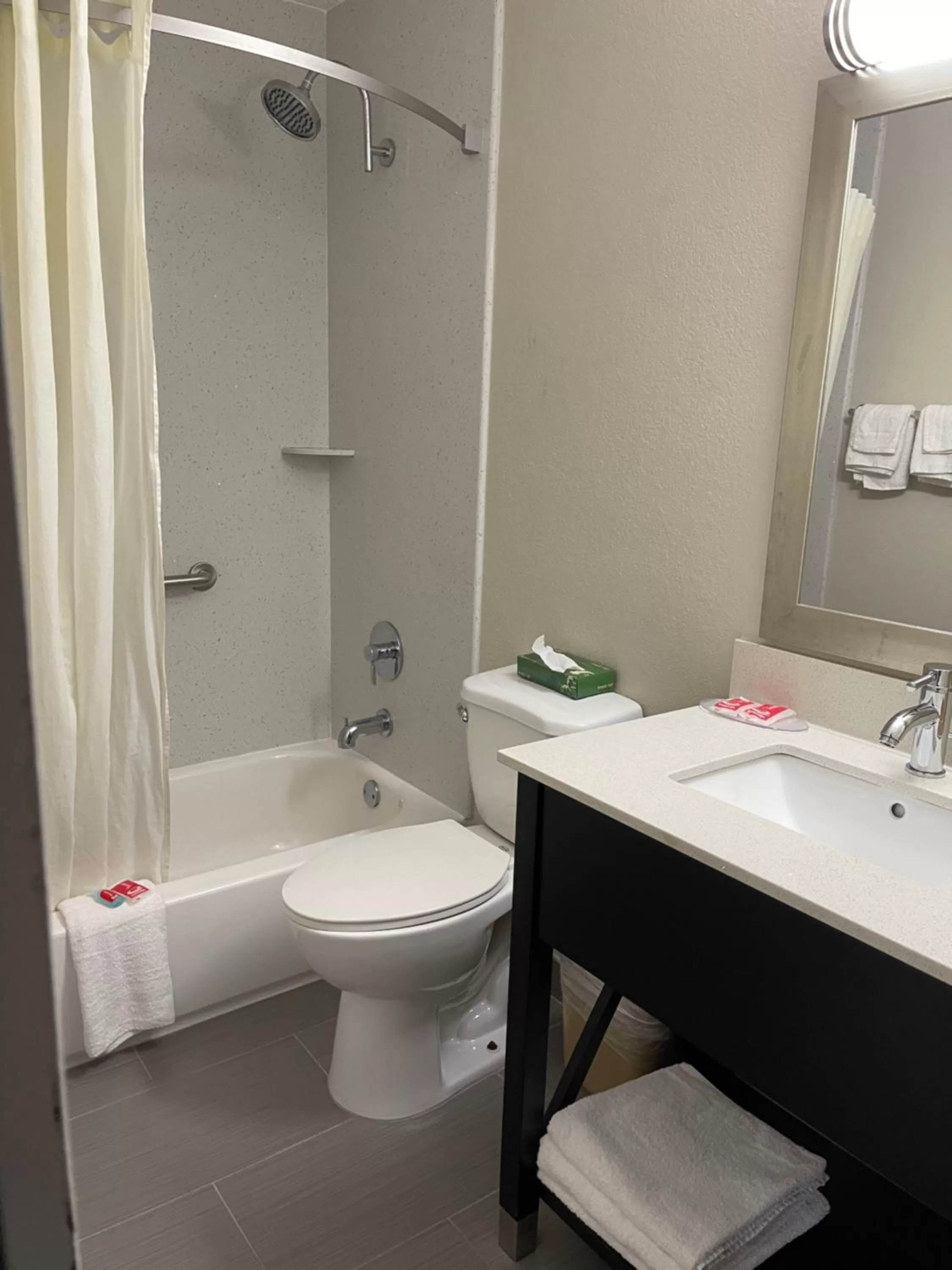 Bathroom in Econo Lodge Cartersville-Emerson Lake Point