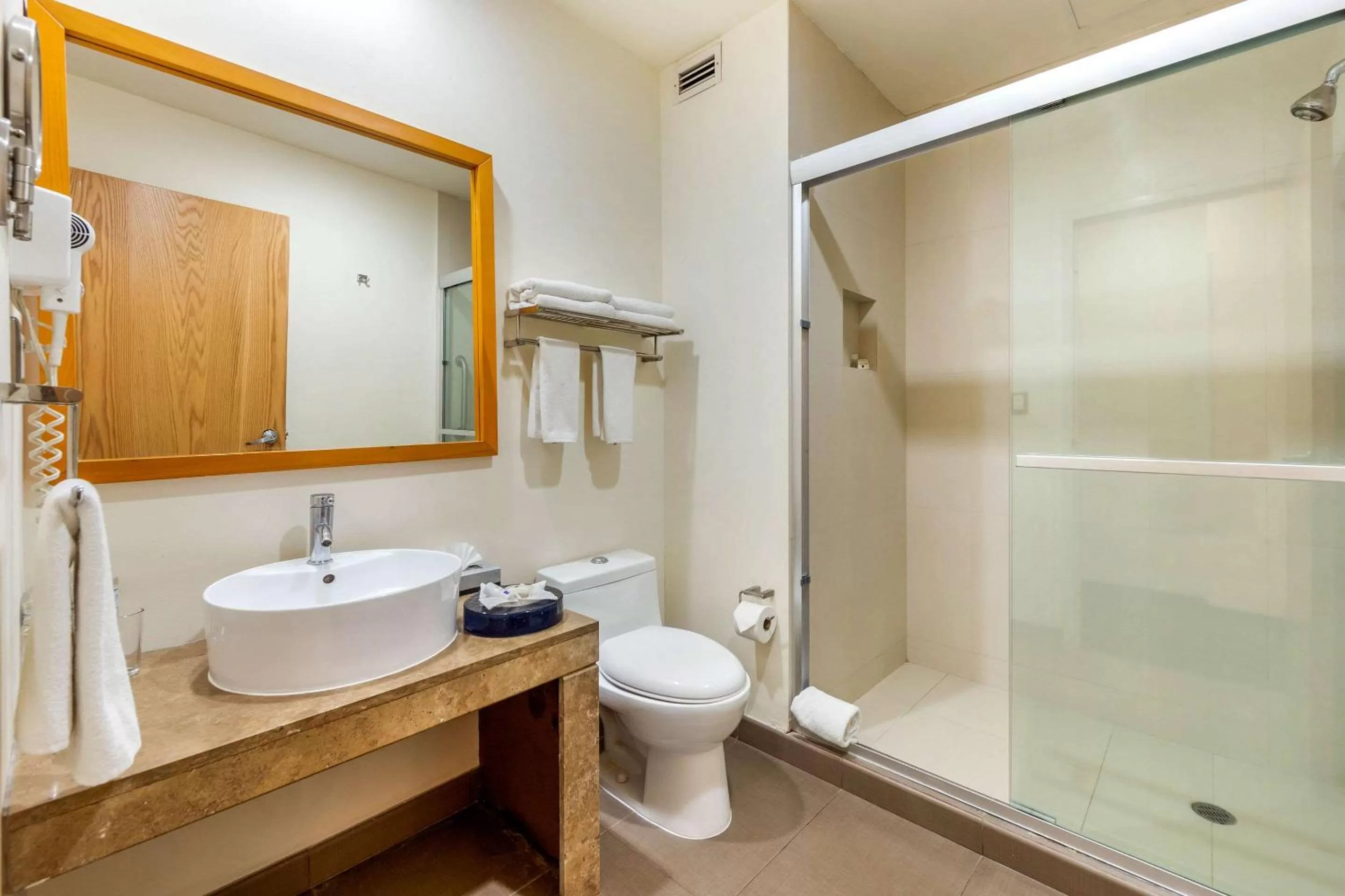 Bathroom in Greenwood Hotel Torreón