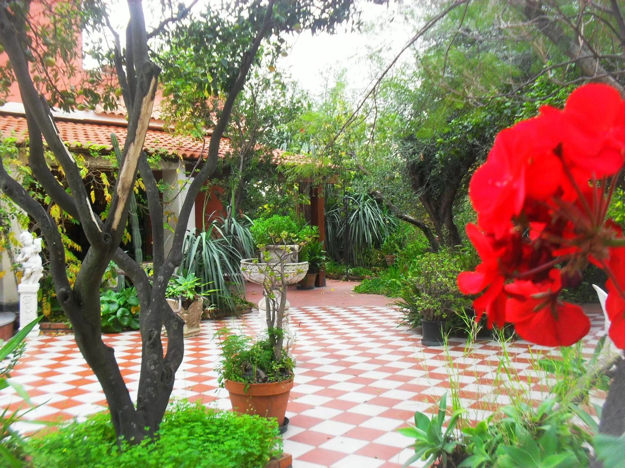 Balcony/Terrace in B&B Villa Lidia
