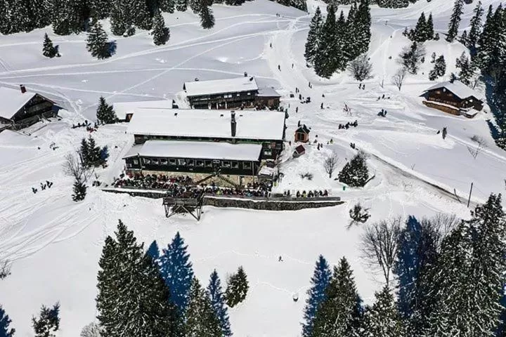 Bird's eye view in Berggasthof Obere Firstalm