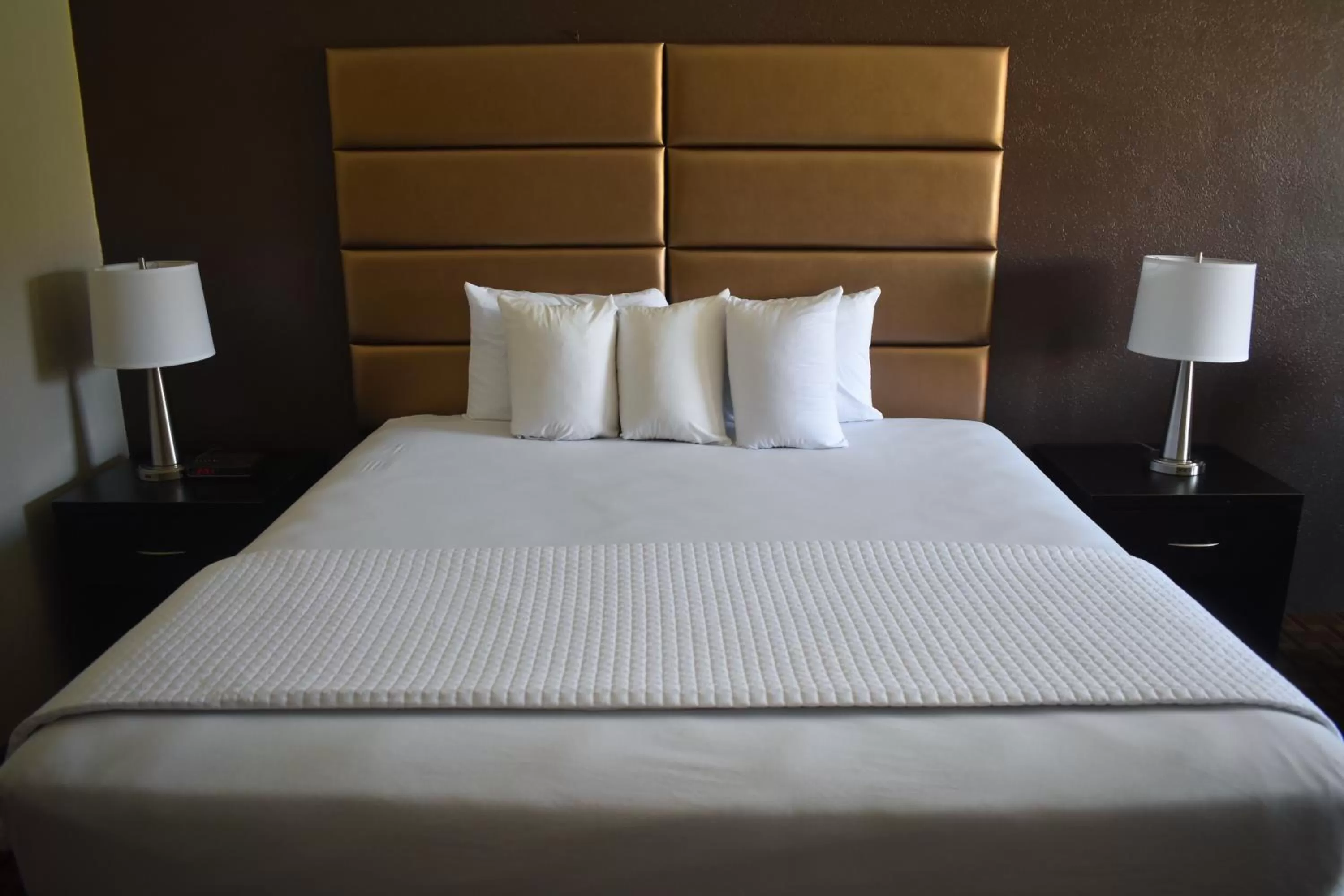 King Room in Gadsden Inn and Suites