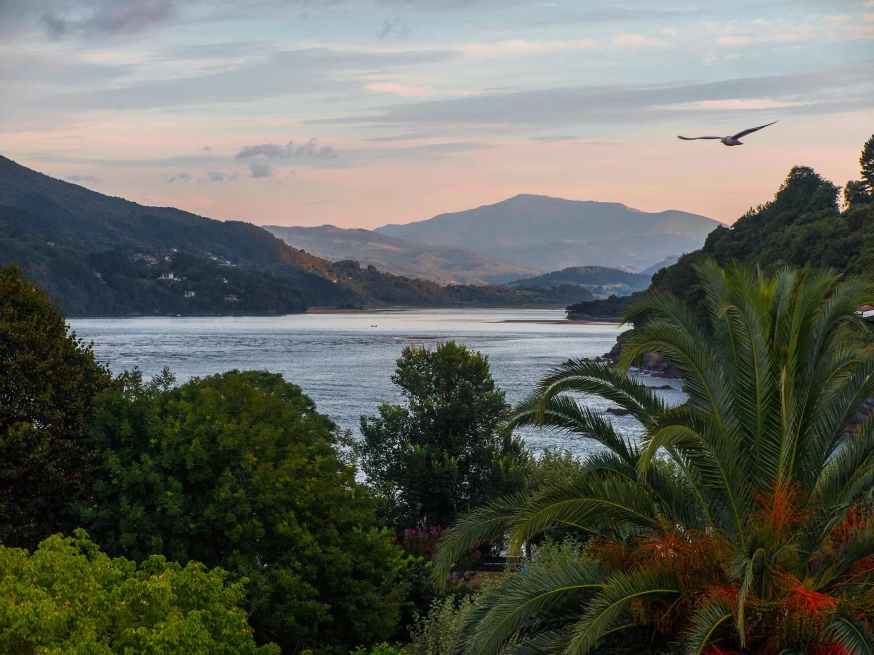 Entertainment in Hotel Branka