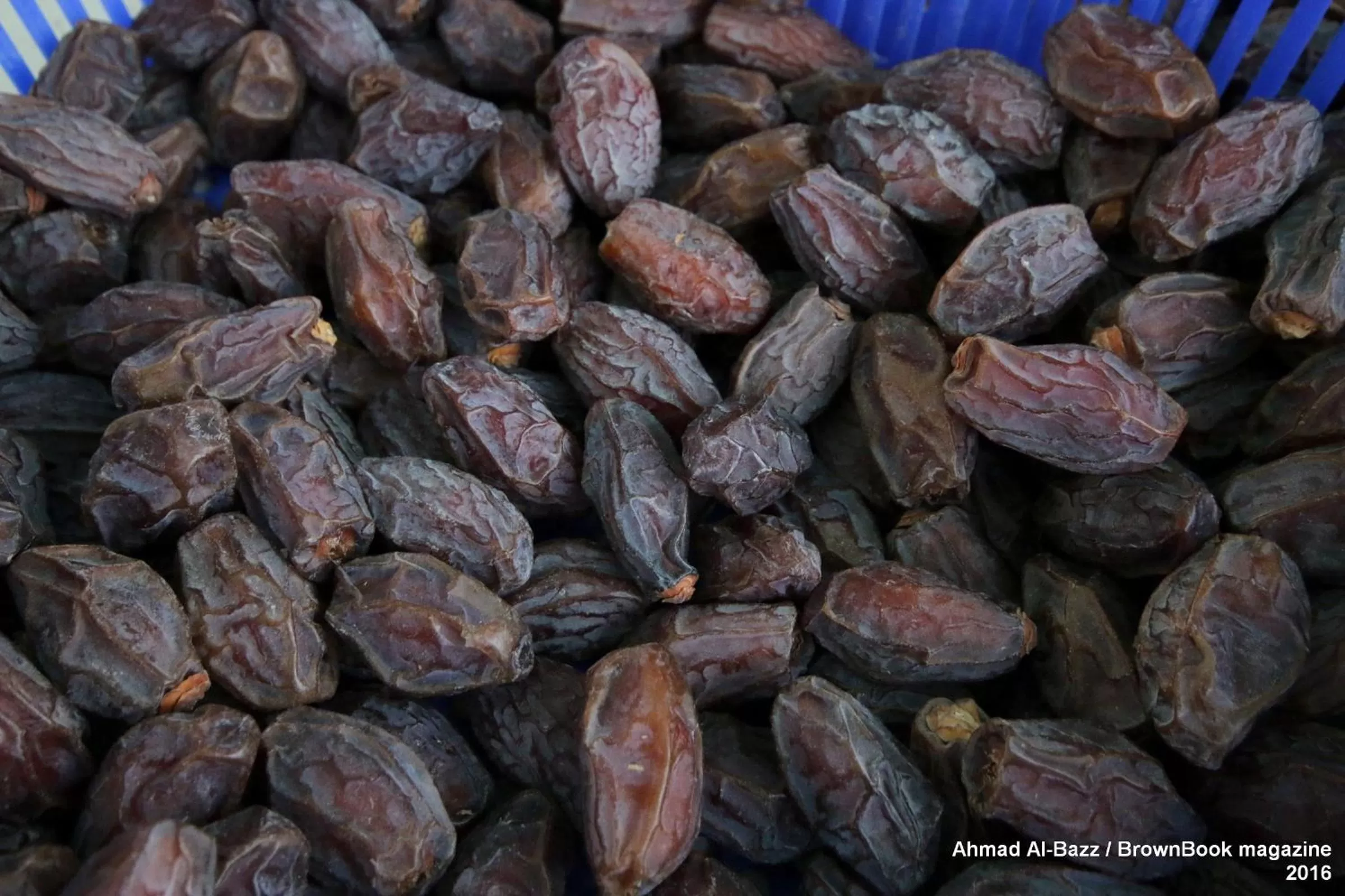 Food close-up in Auberg-Inn Guesthouse