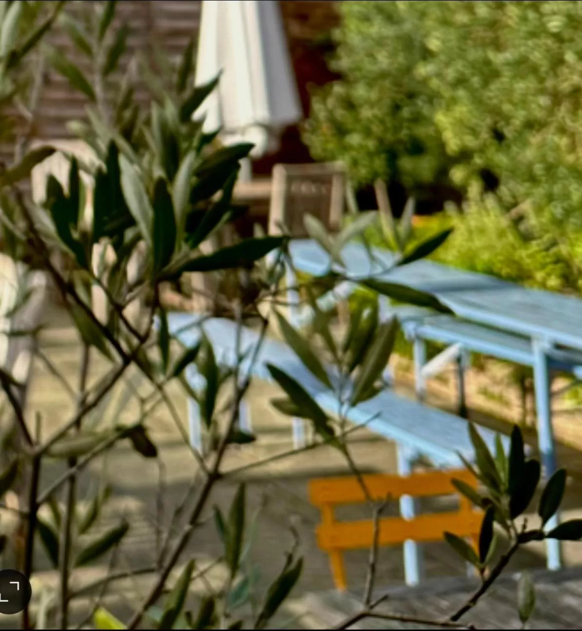 Swimming Pool in The Old Drum