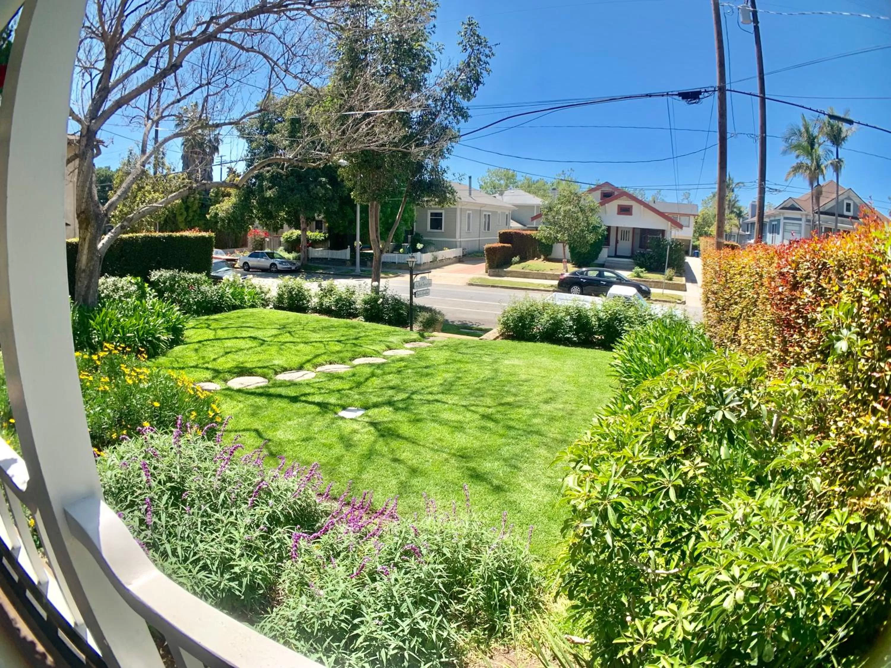 Garden in Bath Street Inn