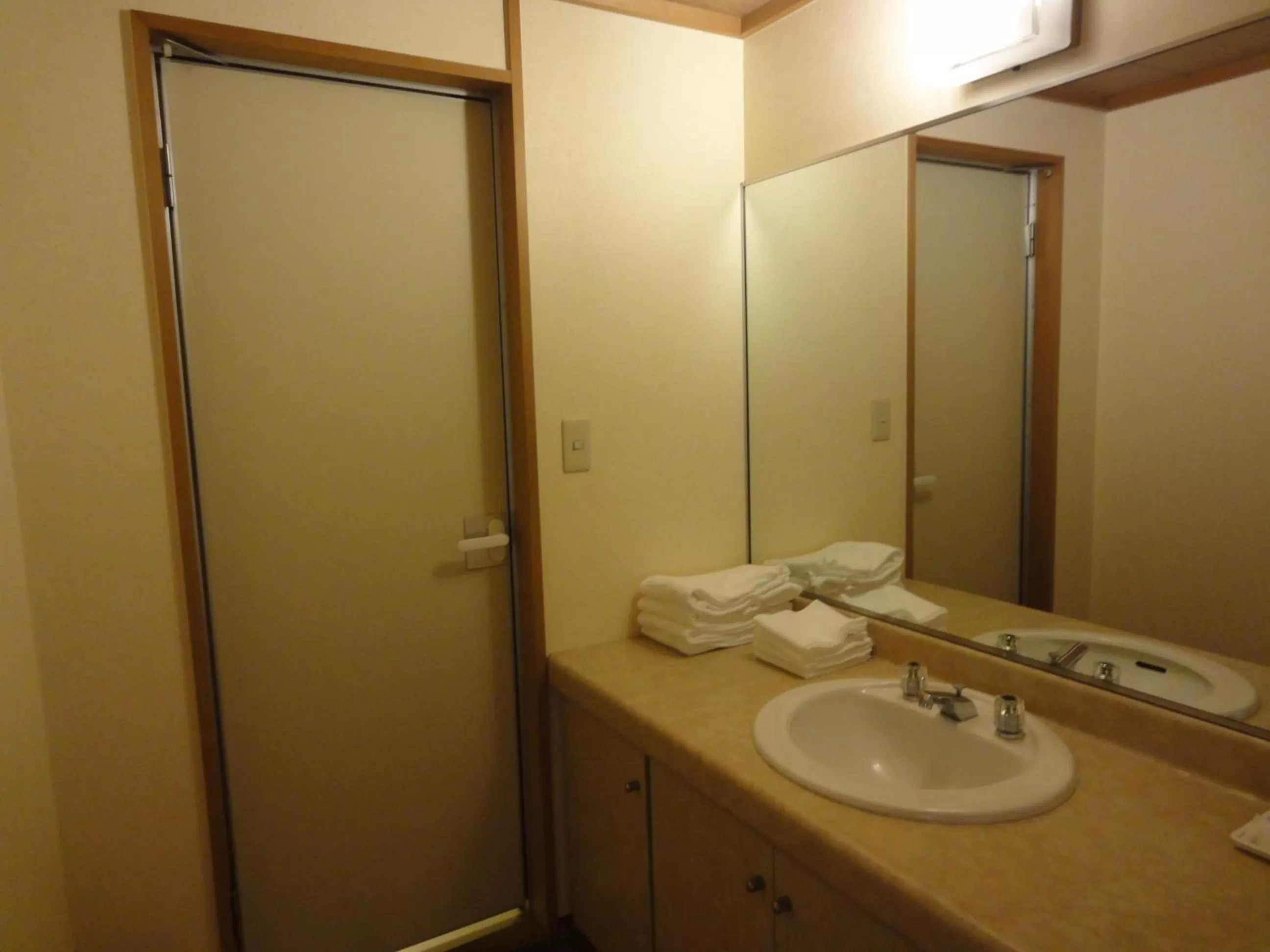 Bathroom in Hiroshima International Youth House JMS Aster Plaza