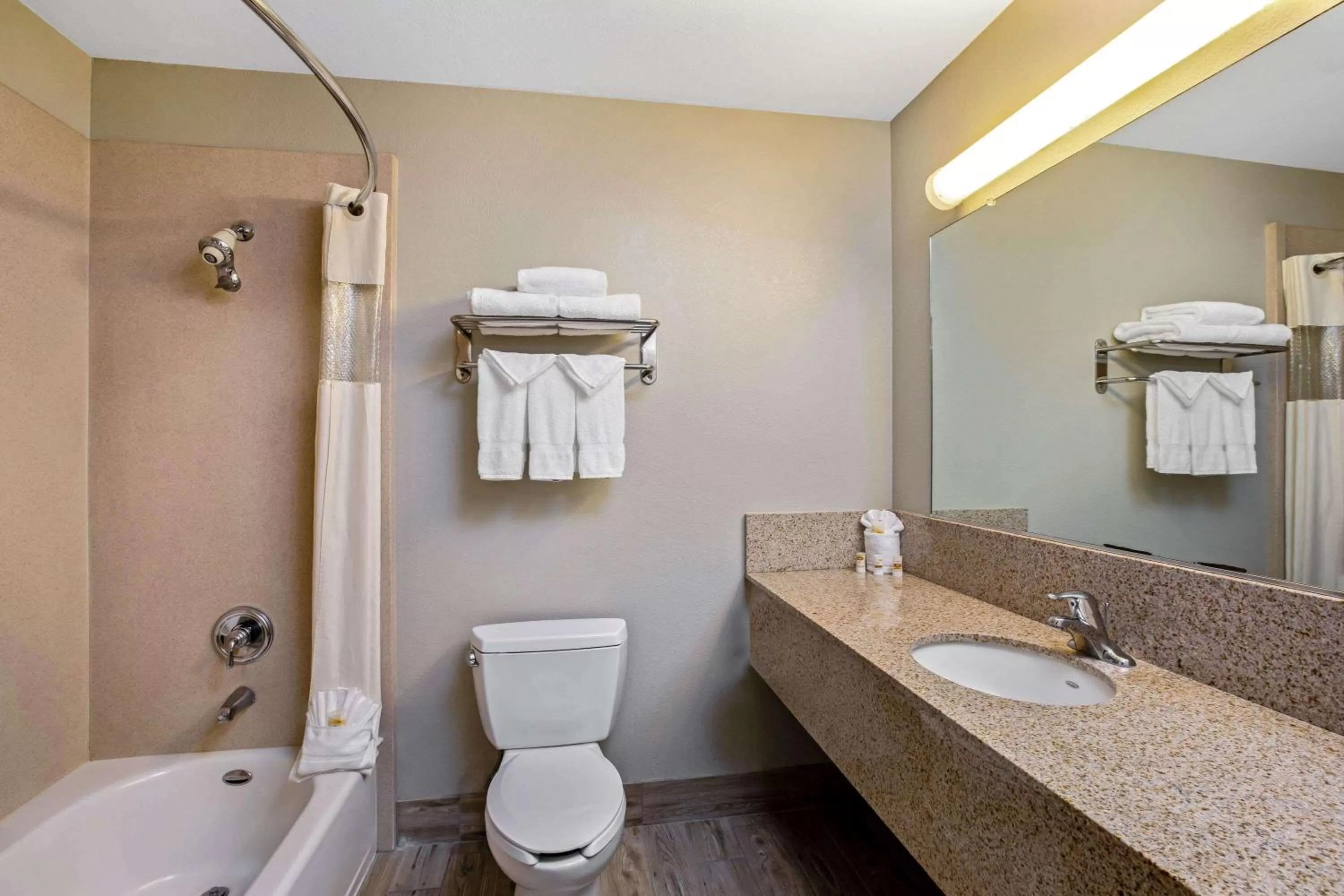 Bathroom in La Quinta by Wyndham Manteca - Ripon