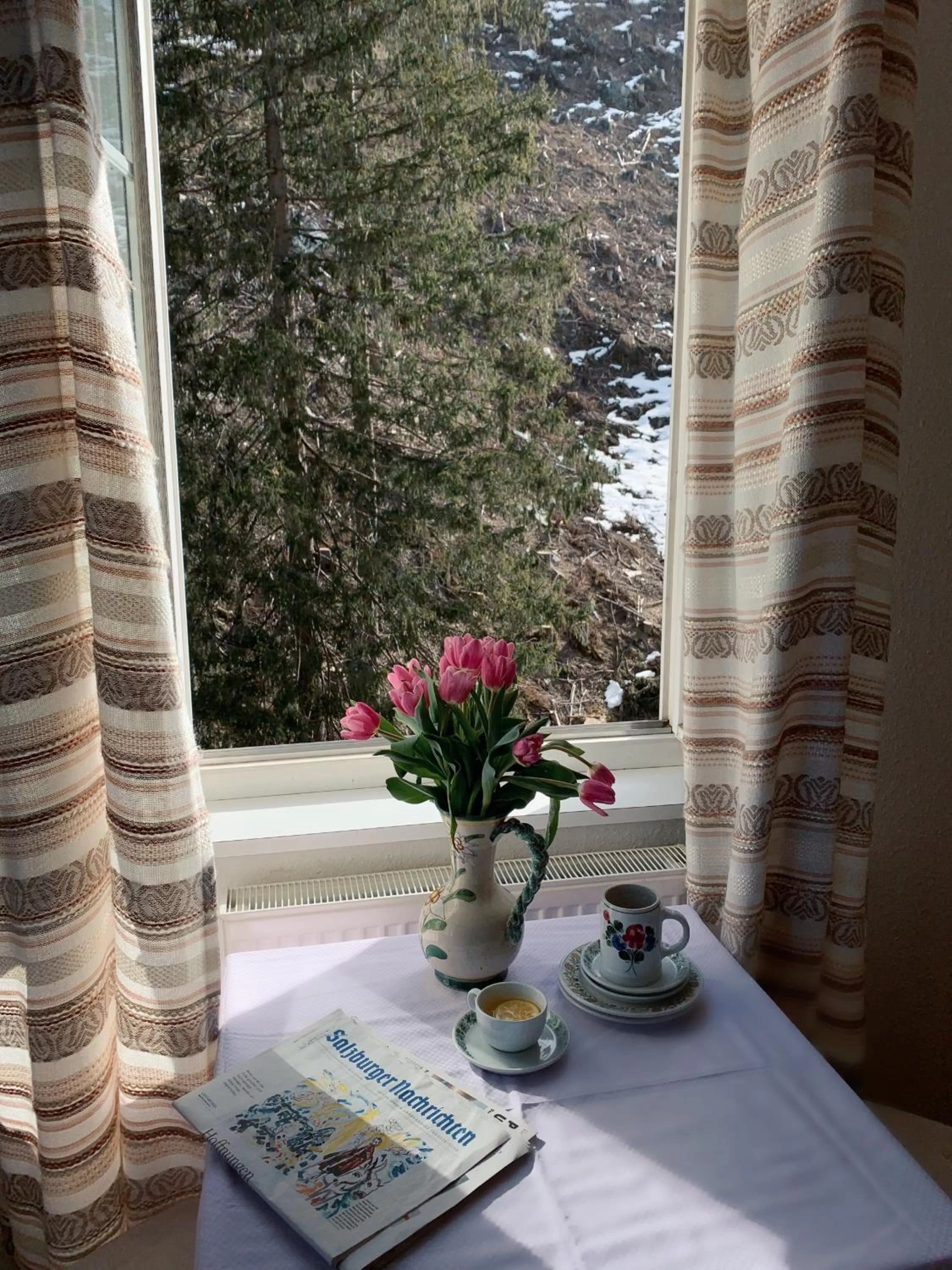 View (from property/room) in Hotel Echo