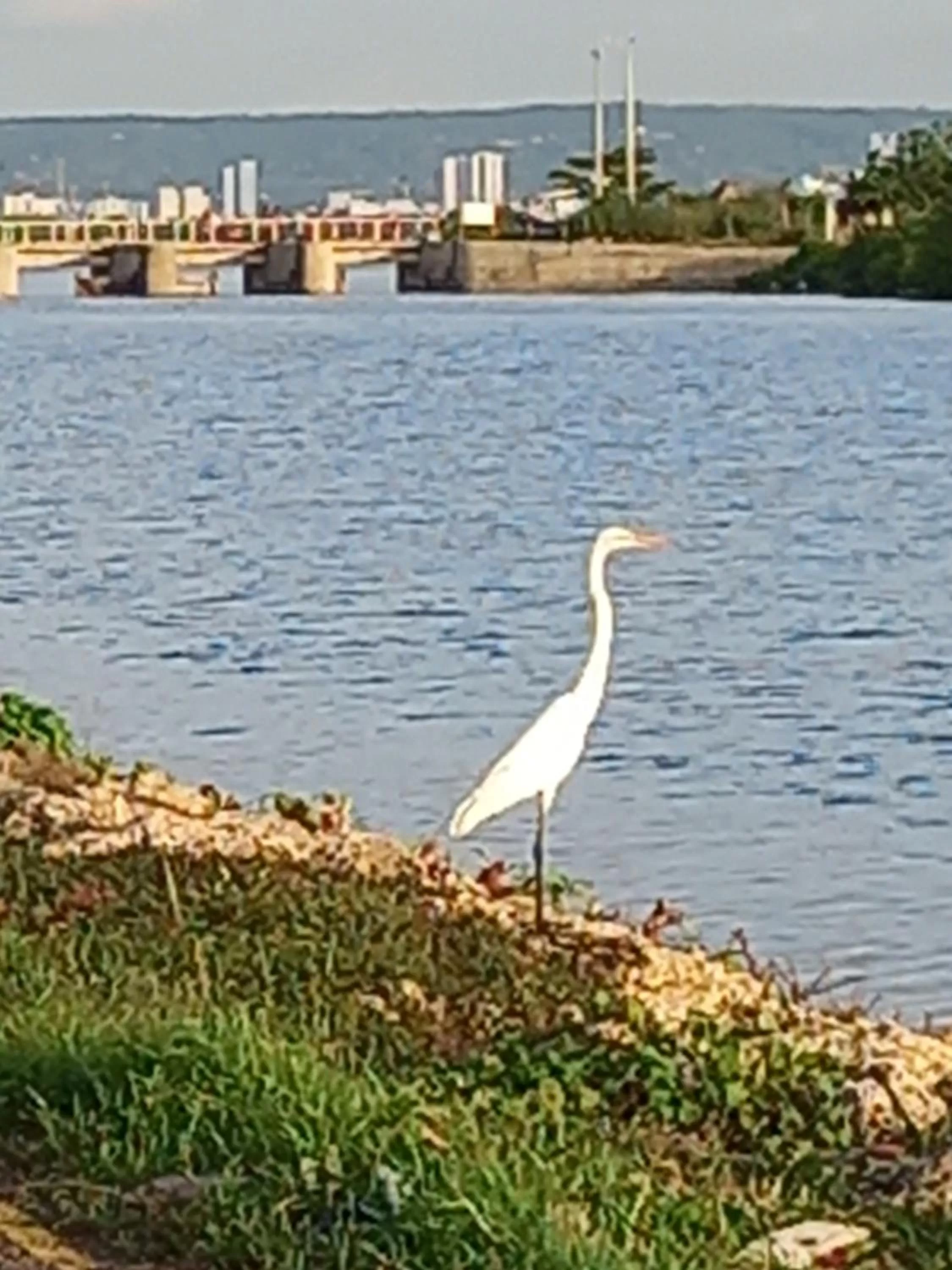 Hotel Boutique Casa Mar