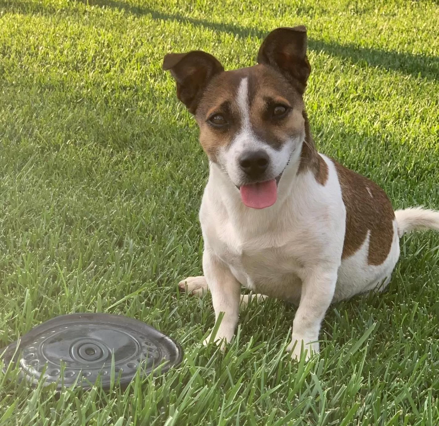 Pets in Relais Masseria della Colomba - Agriturismo