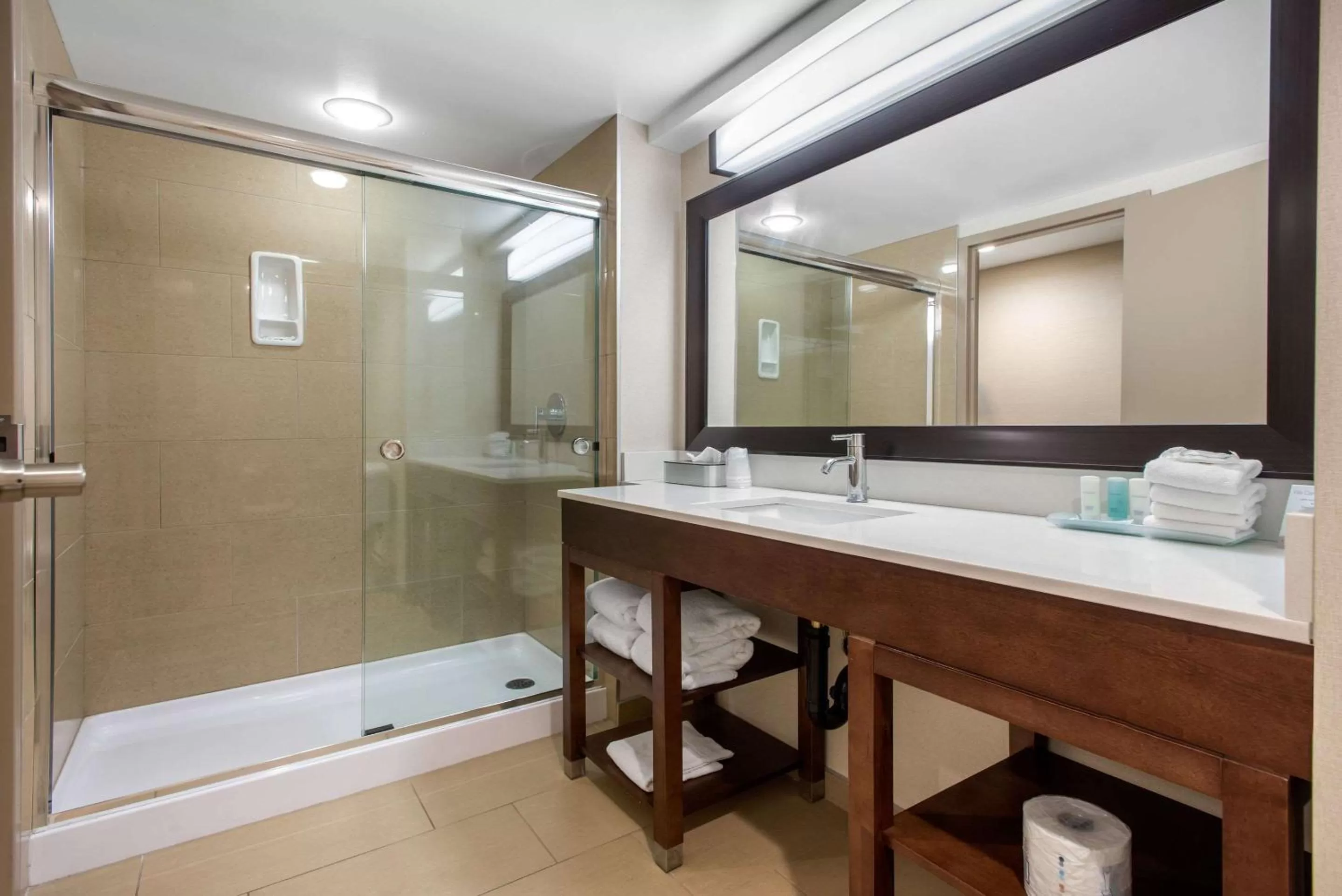 Bathroom in Clarion Hotel & Suites
