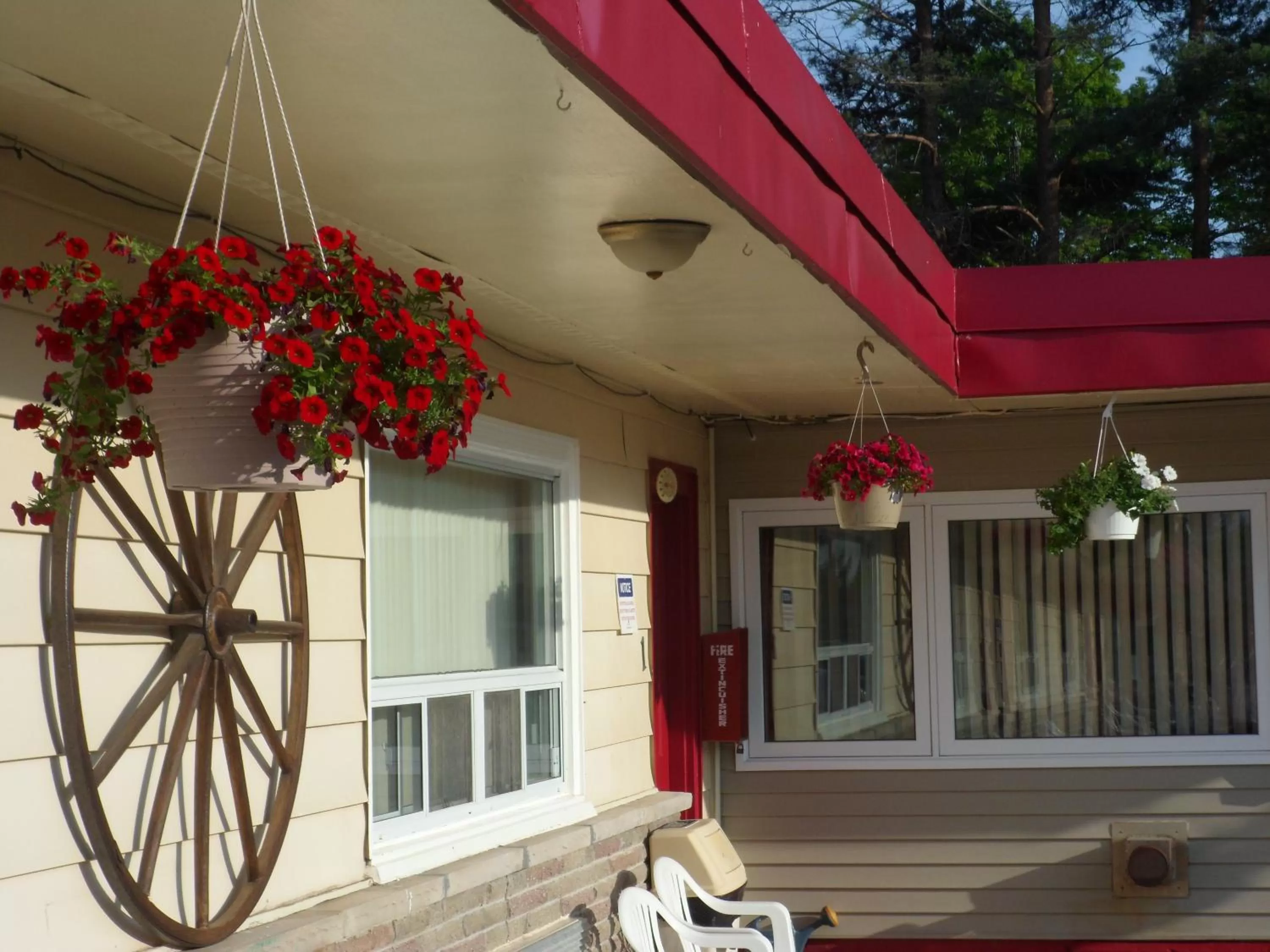 Property building in The Silver Birch Motel