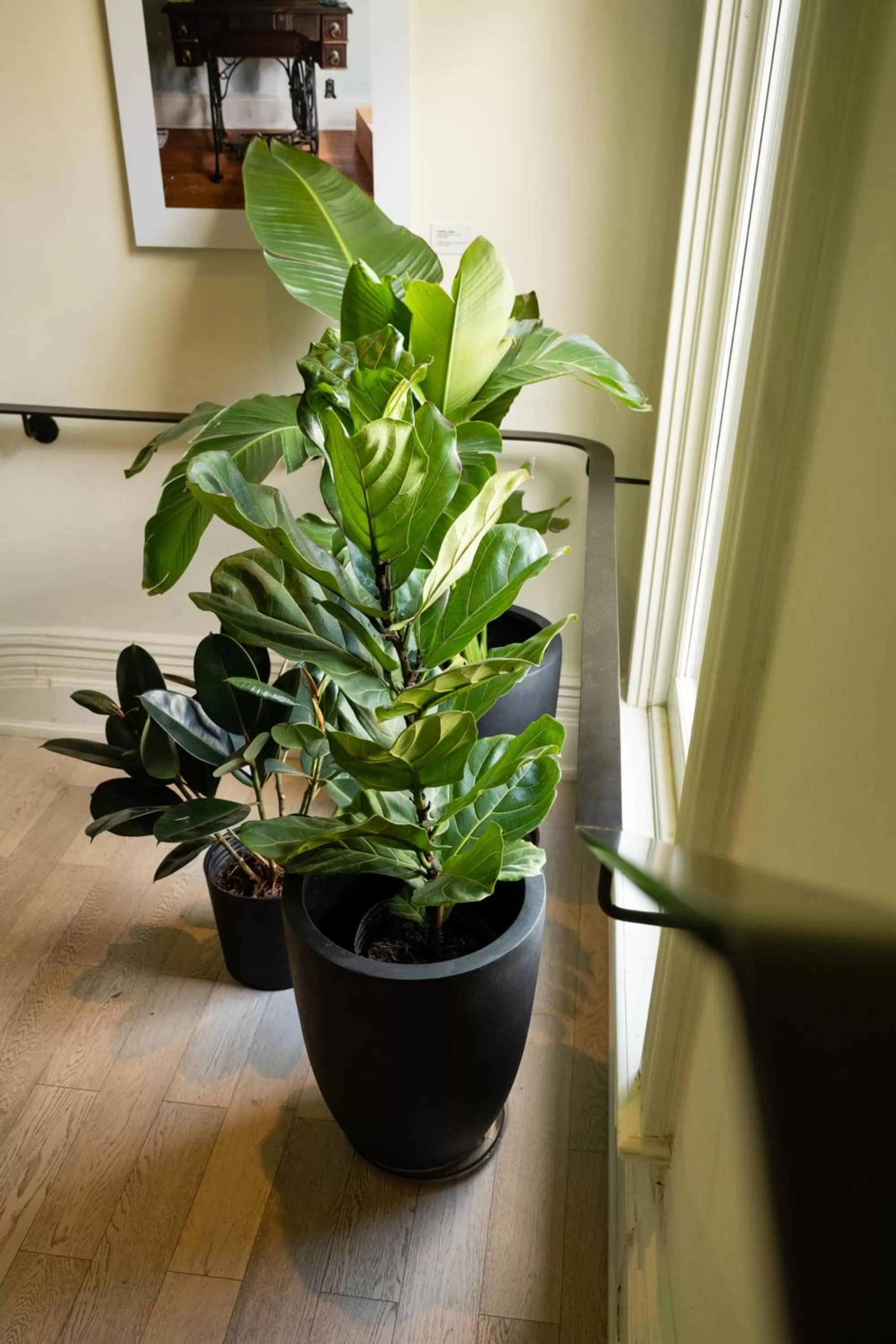 Lobby or reception in Gladstone House
