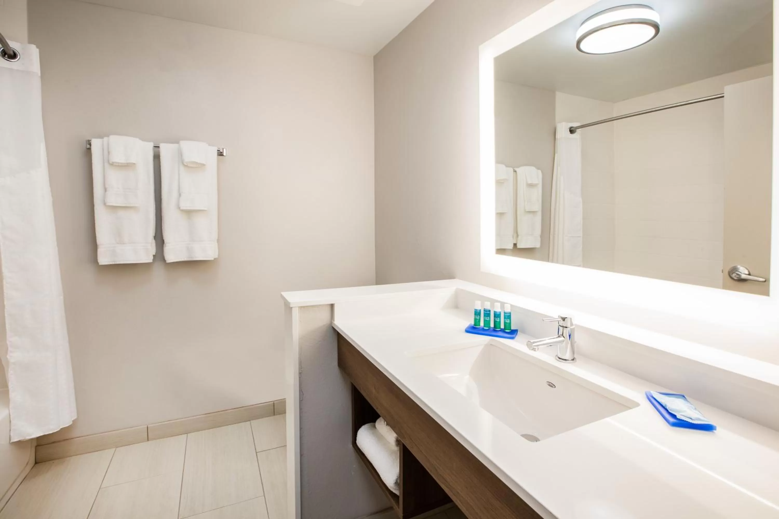 Bathroom in Holiday Inn Express & Suites Atlanta N - Woodstock by IHG