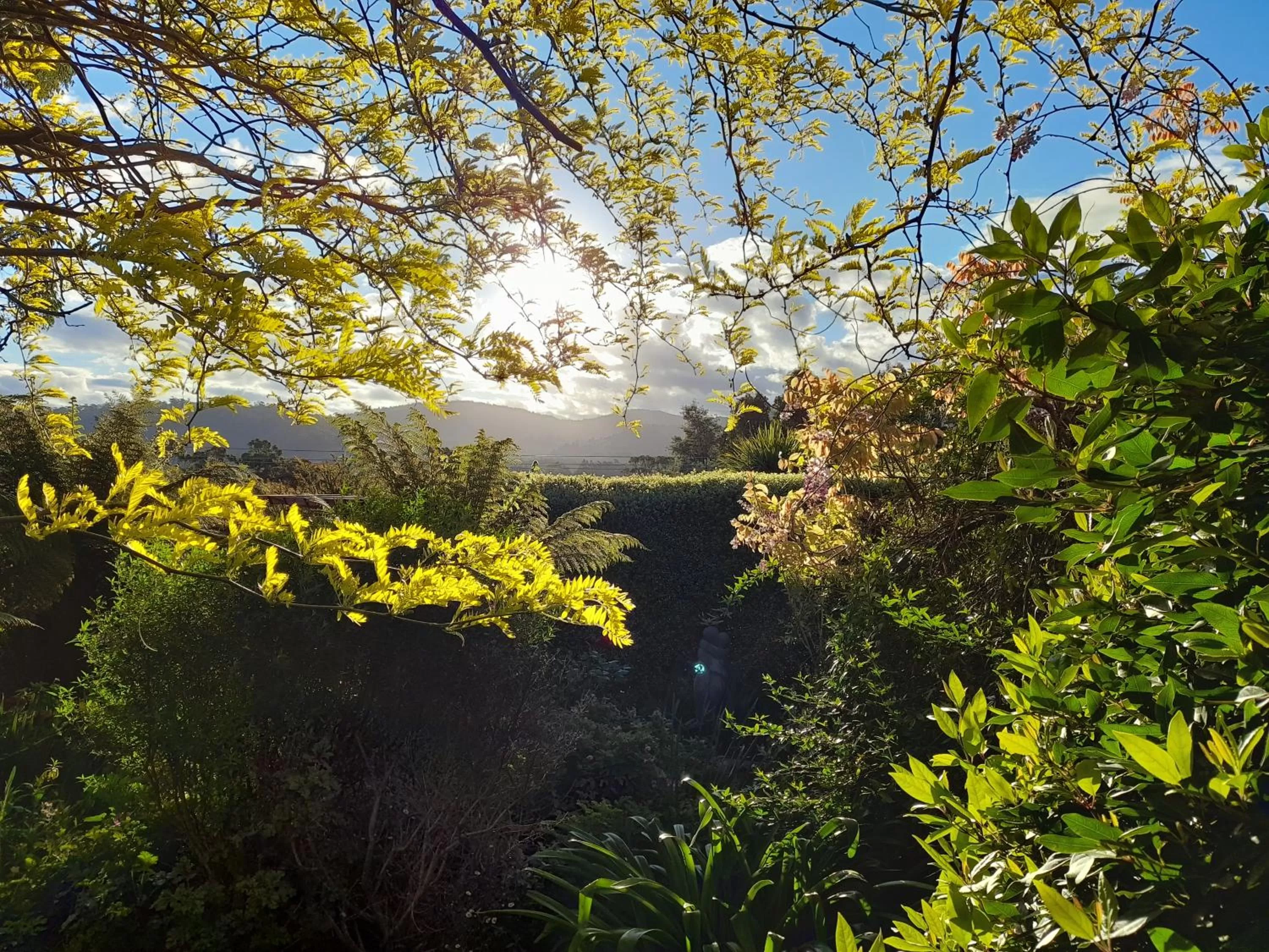 Hillside Bed and Breakfast