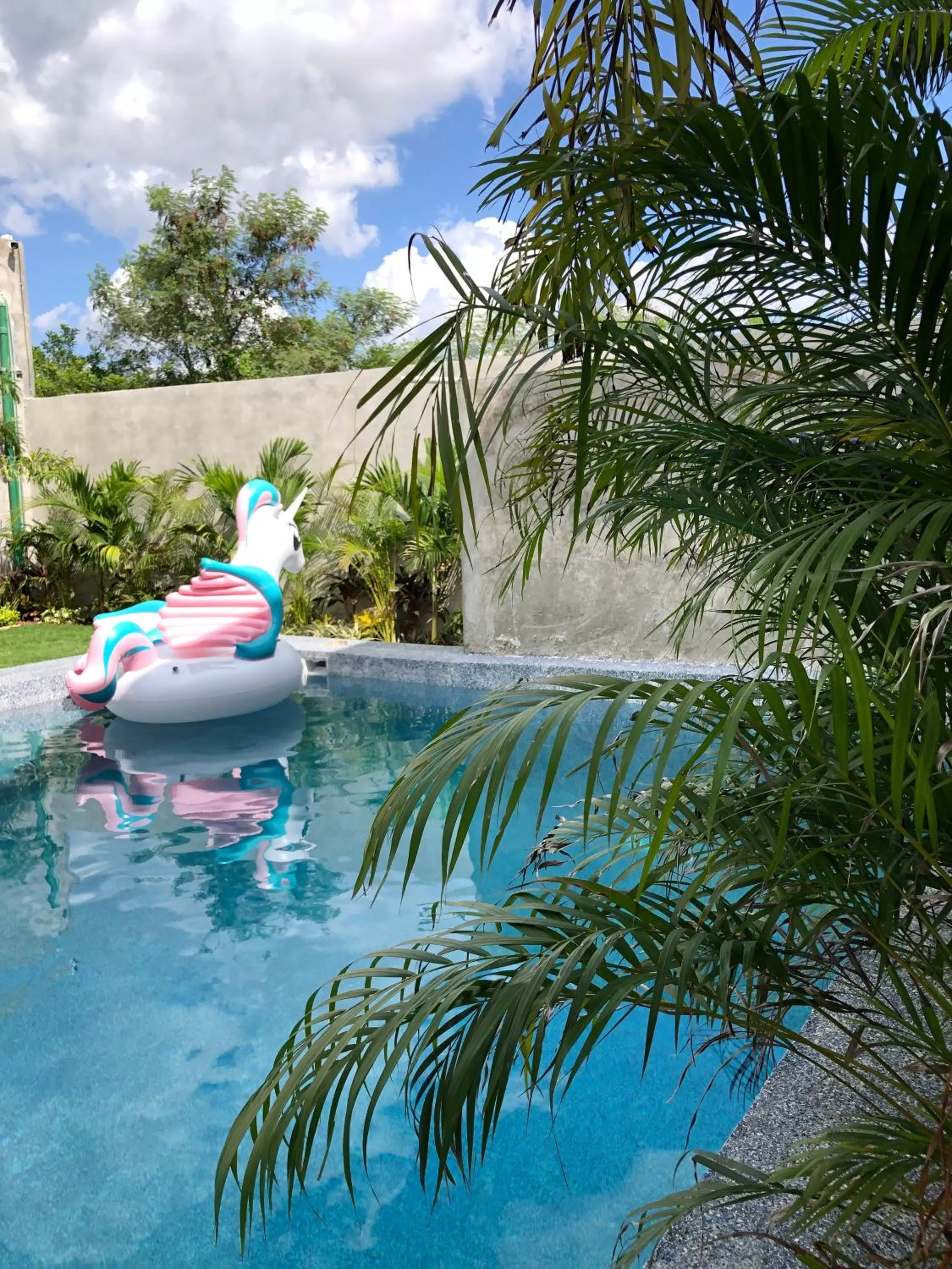 Swimming Pool in Hotel Suites La Negra Boutique