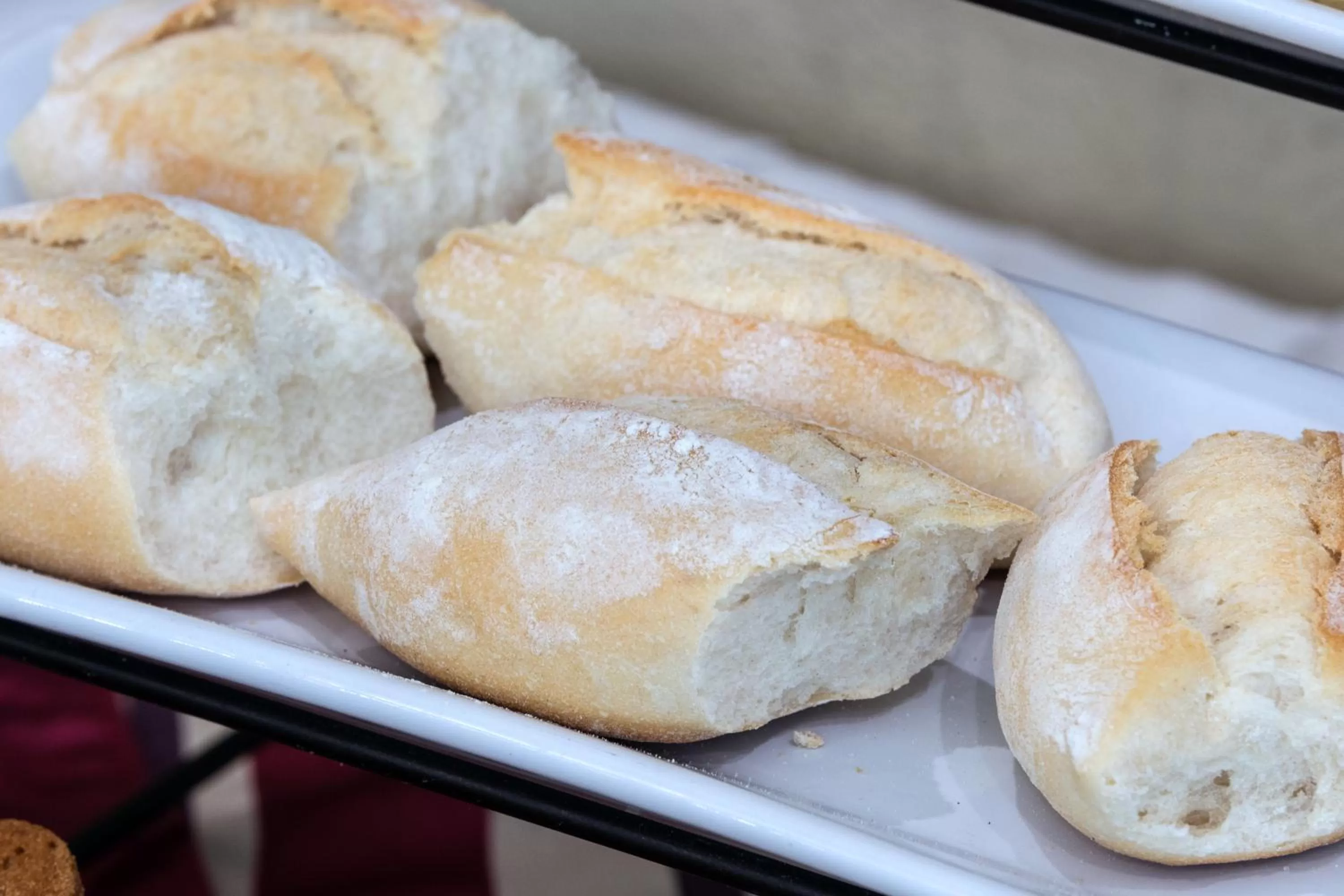 Hotel San Francisco Leon