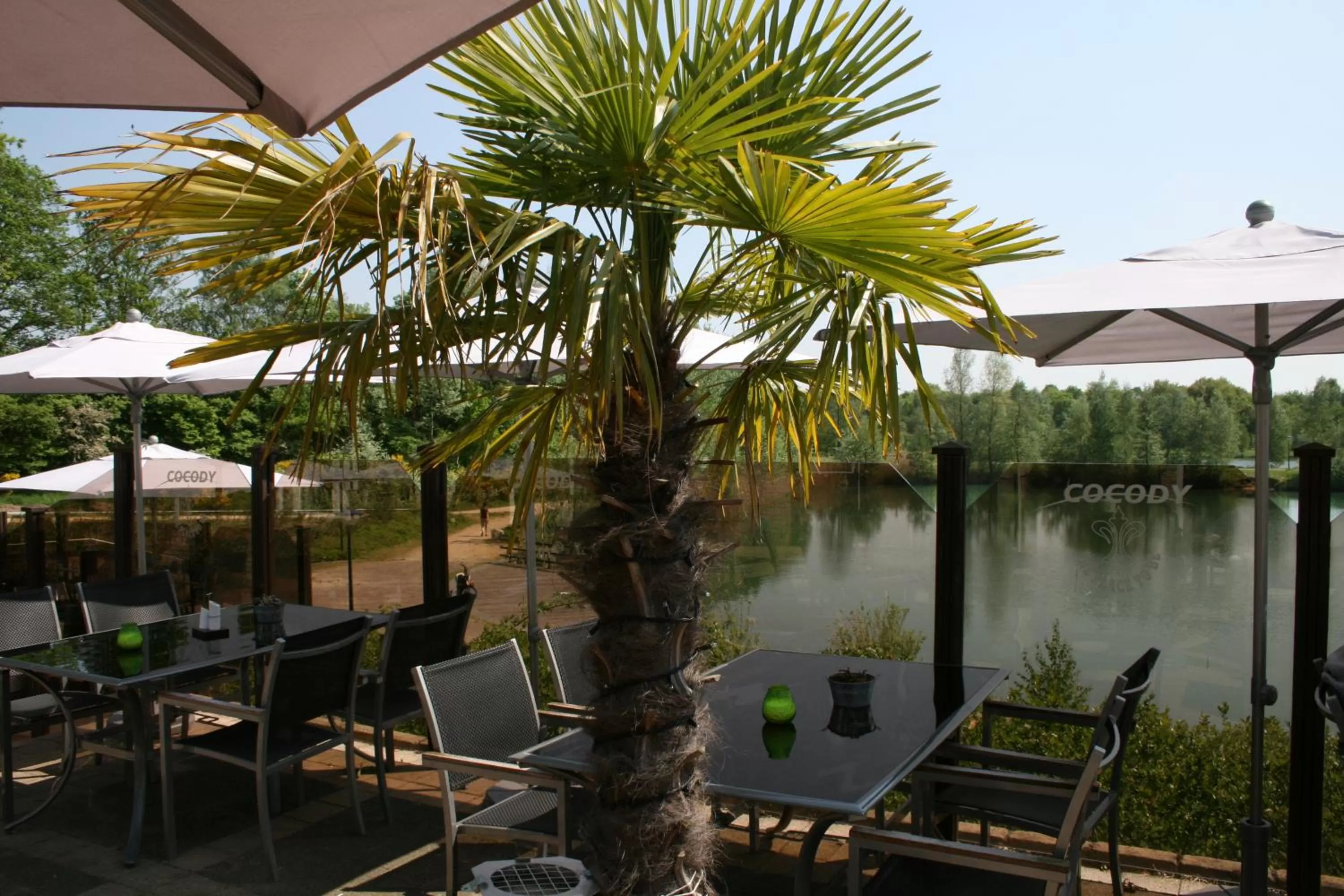 Balcony/Terrace in Hotel Buenos