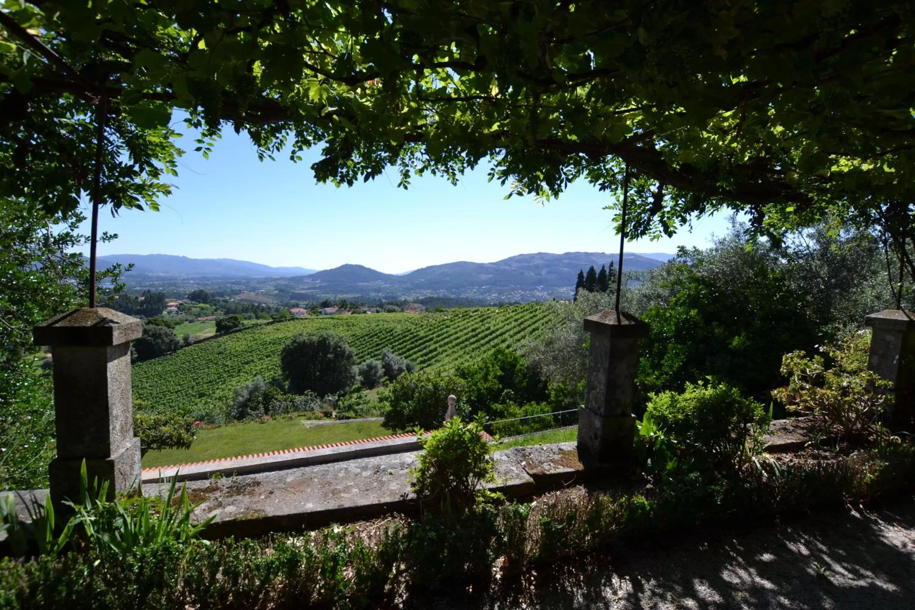 Garden in Paço de Calheiros - Turismo de Habitação