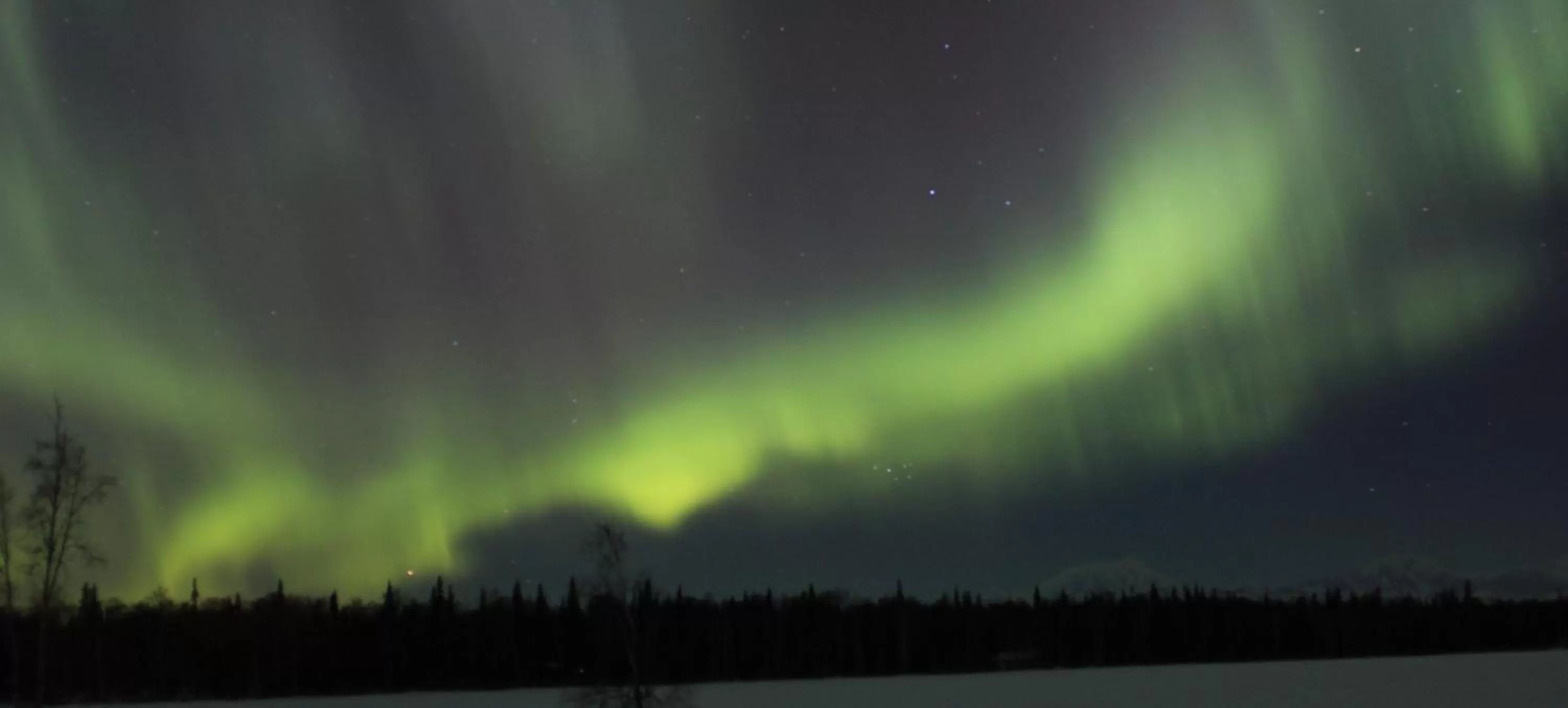 Activities in McKinley View B&B