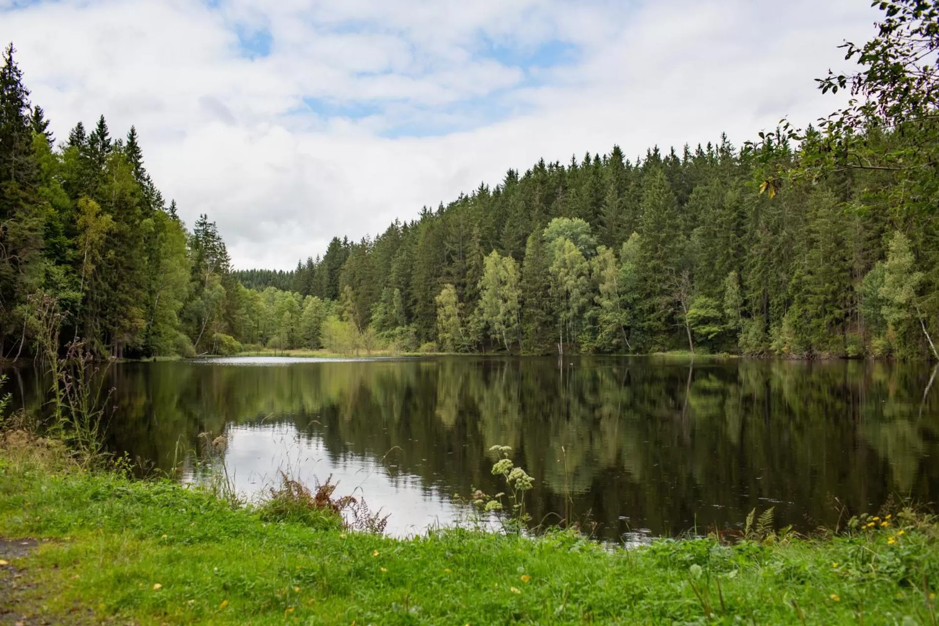 Natural landscape in OREA Spa Hotel Cristal
