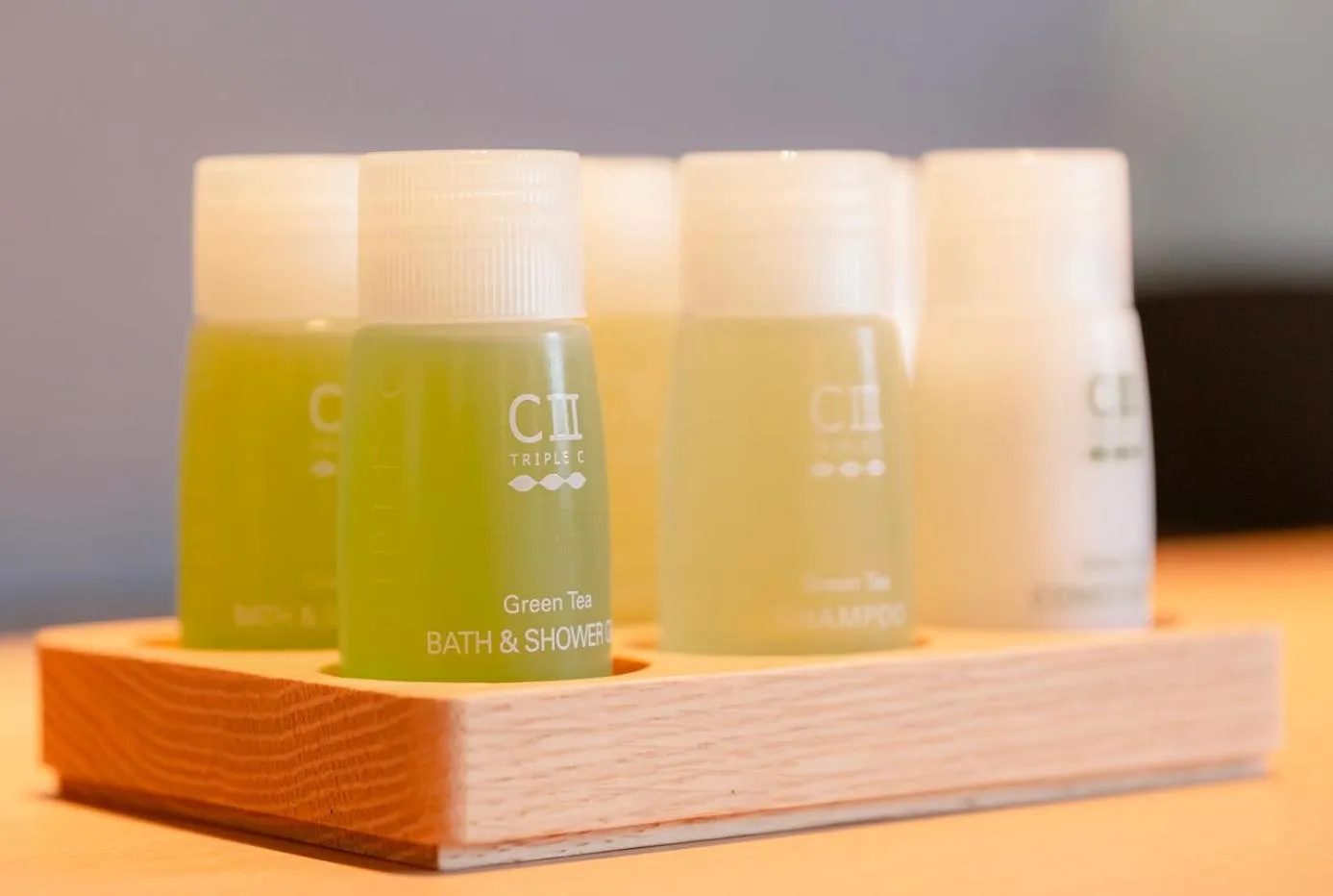 Matsumoto Tourist Hotel