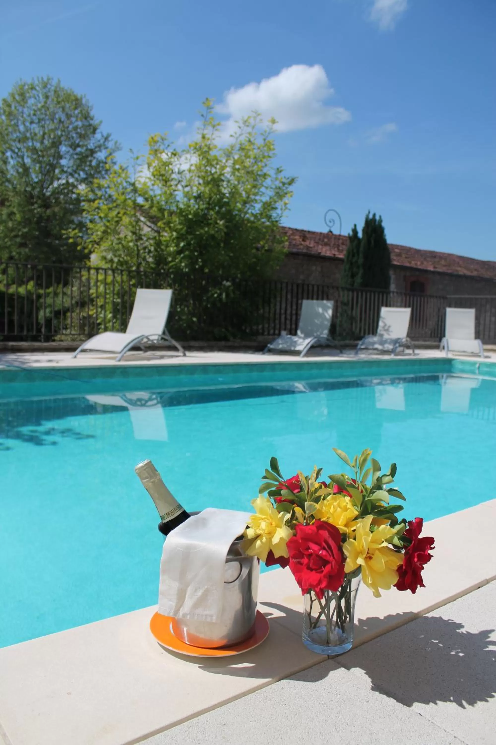 Swimming pool in Logis Hôtel Vuillot