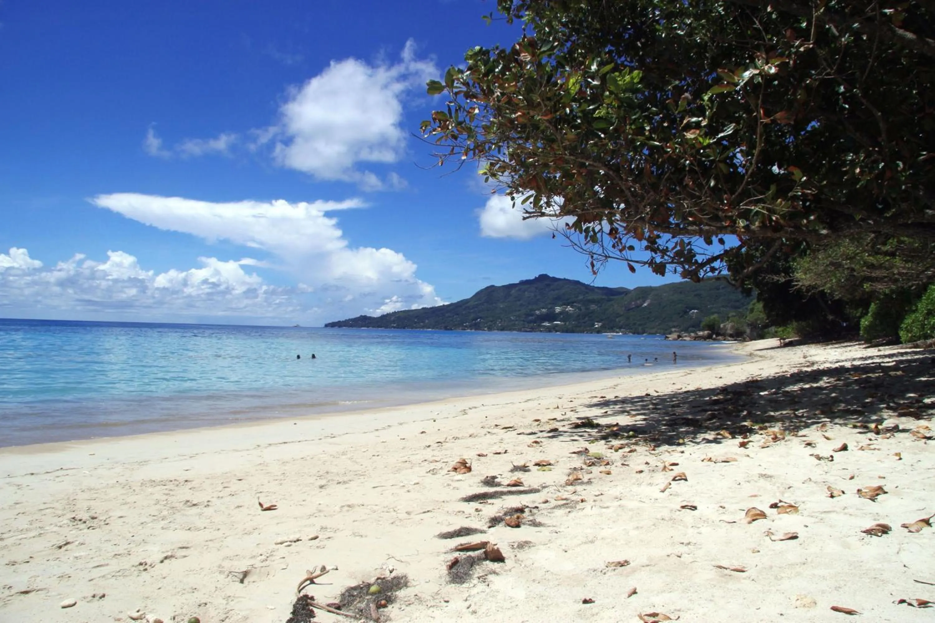 Beach in Forest Lodge