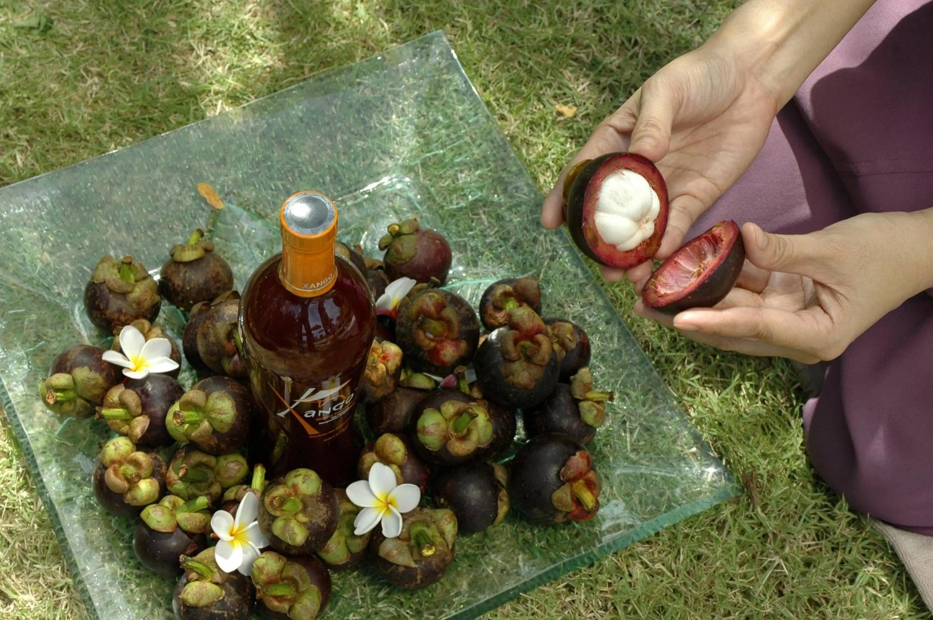Decorative detail in Mangosteen Ayurveda & Wellness Resort - SHA Plus