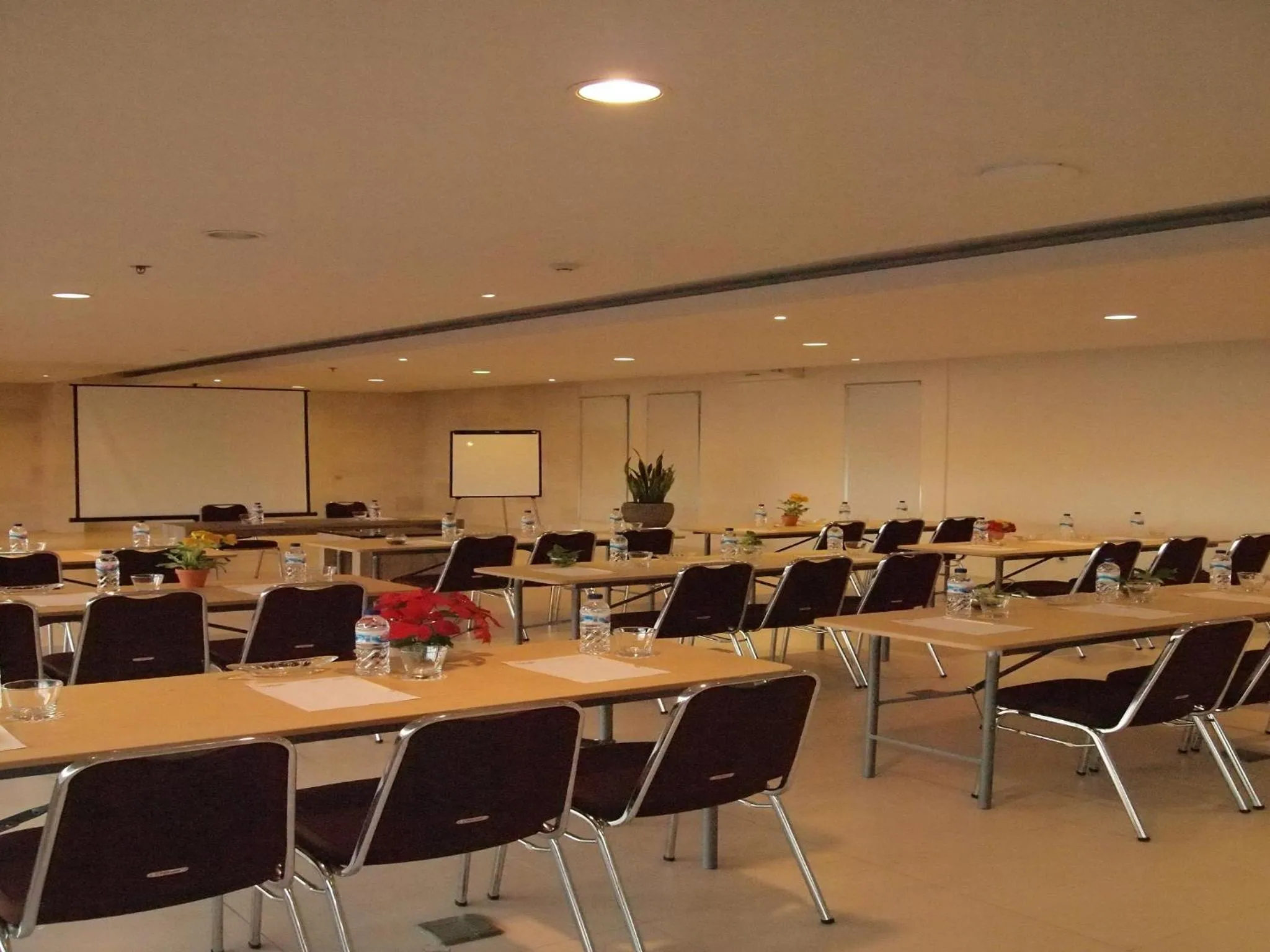 Other in Euphoria Hotel