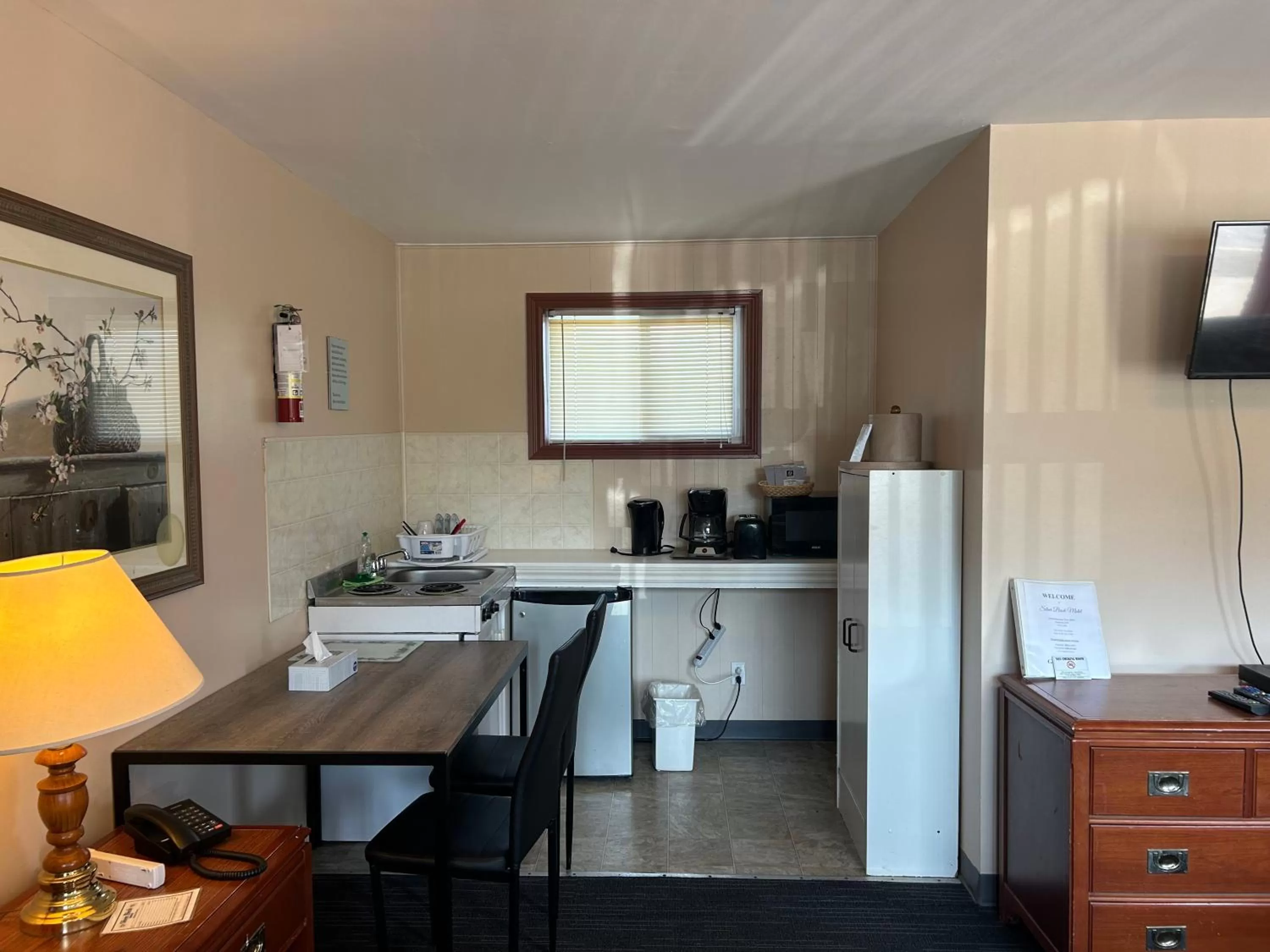 Kitchen or kitchenette in The Silver Birch Motel