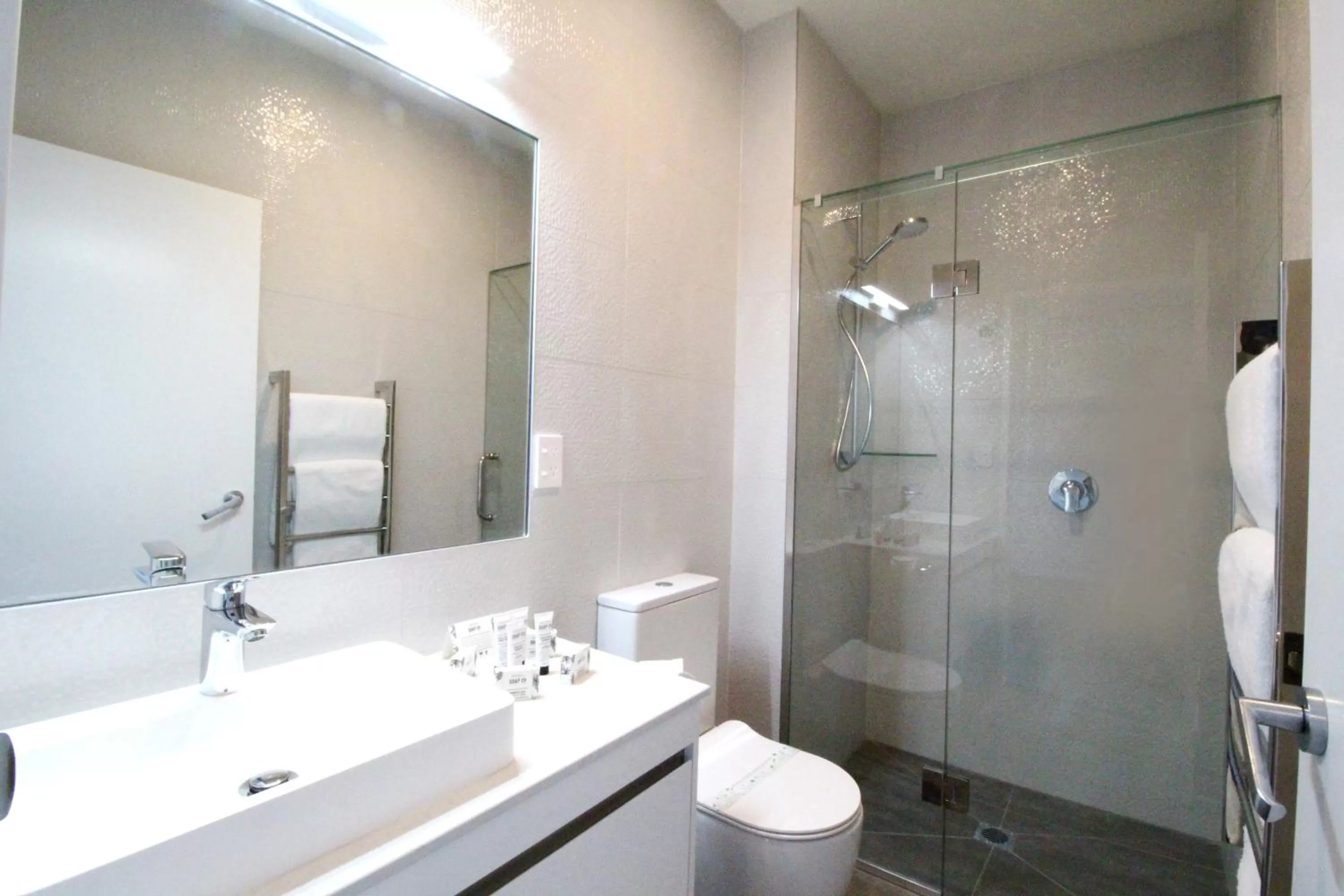 Shower in FERNZ Motel & Apartments Birkenhead