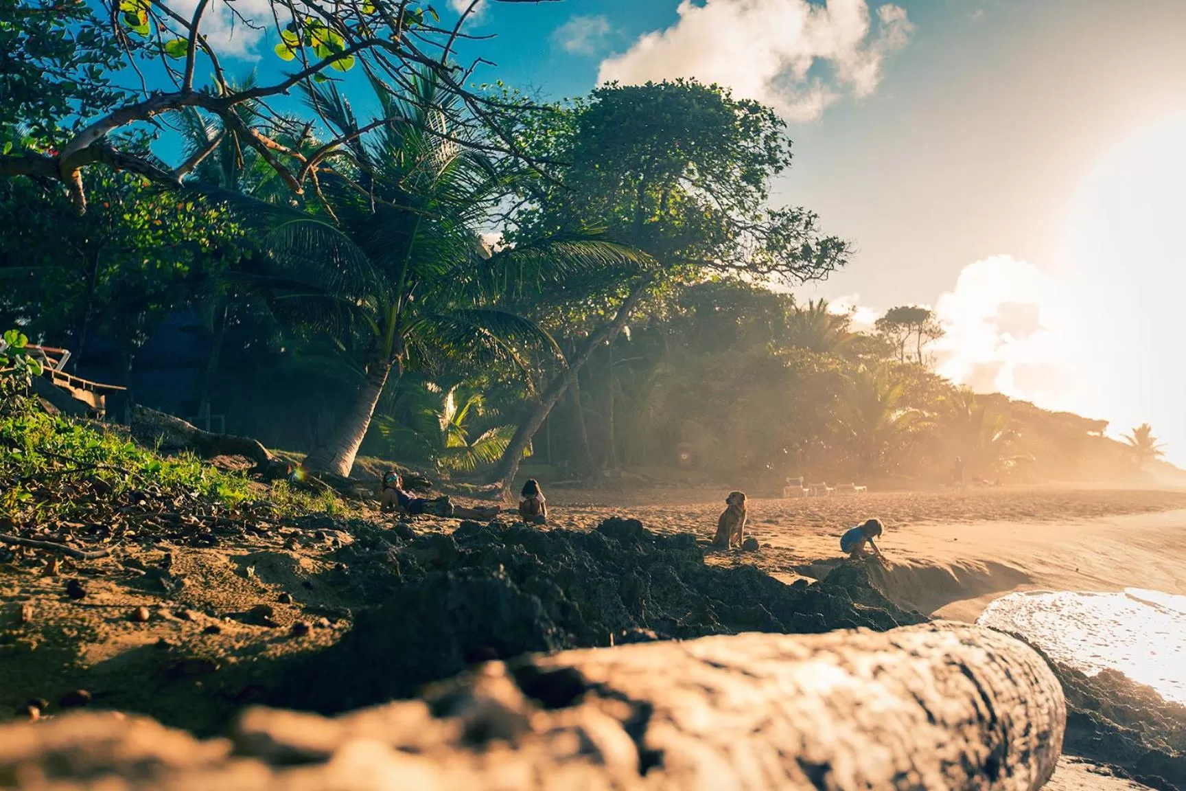 Beach in El Encuentro Surf Lodge