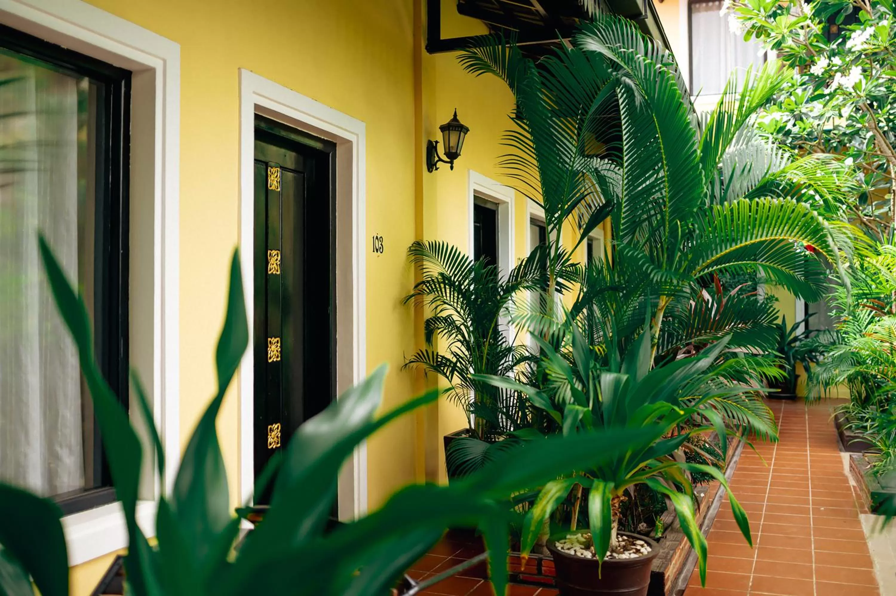 Garden in Sophavady D'Angkor