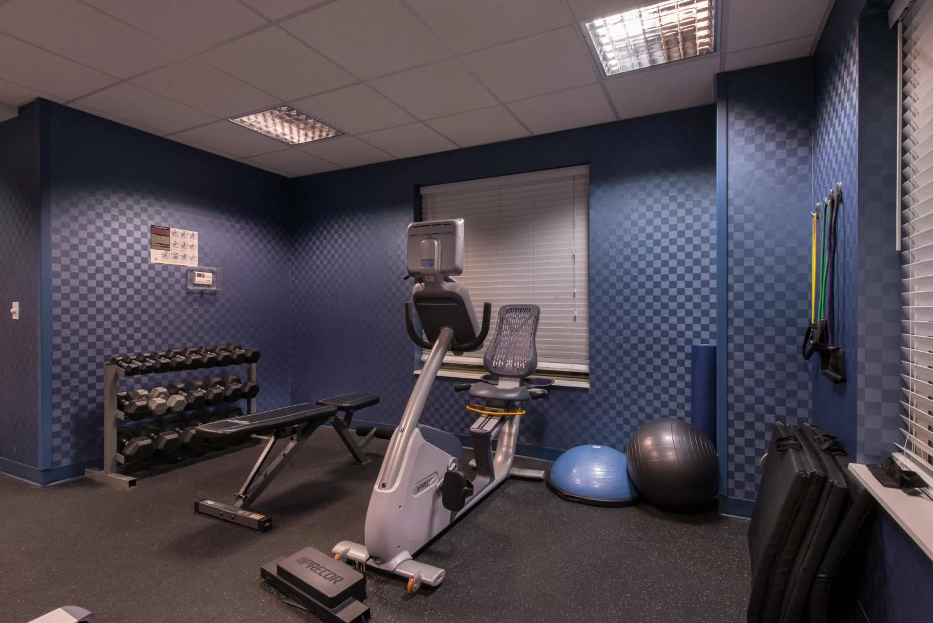Fitness centre/facilities in Holiday Inn Express and Suites Dickson City by IHG