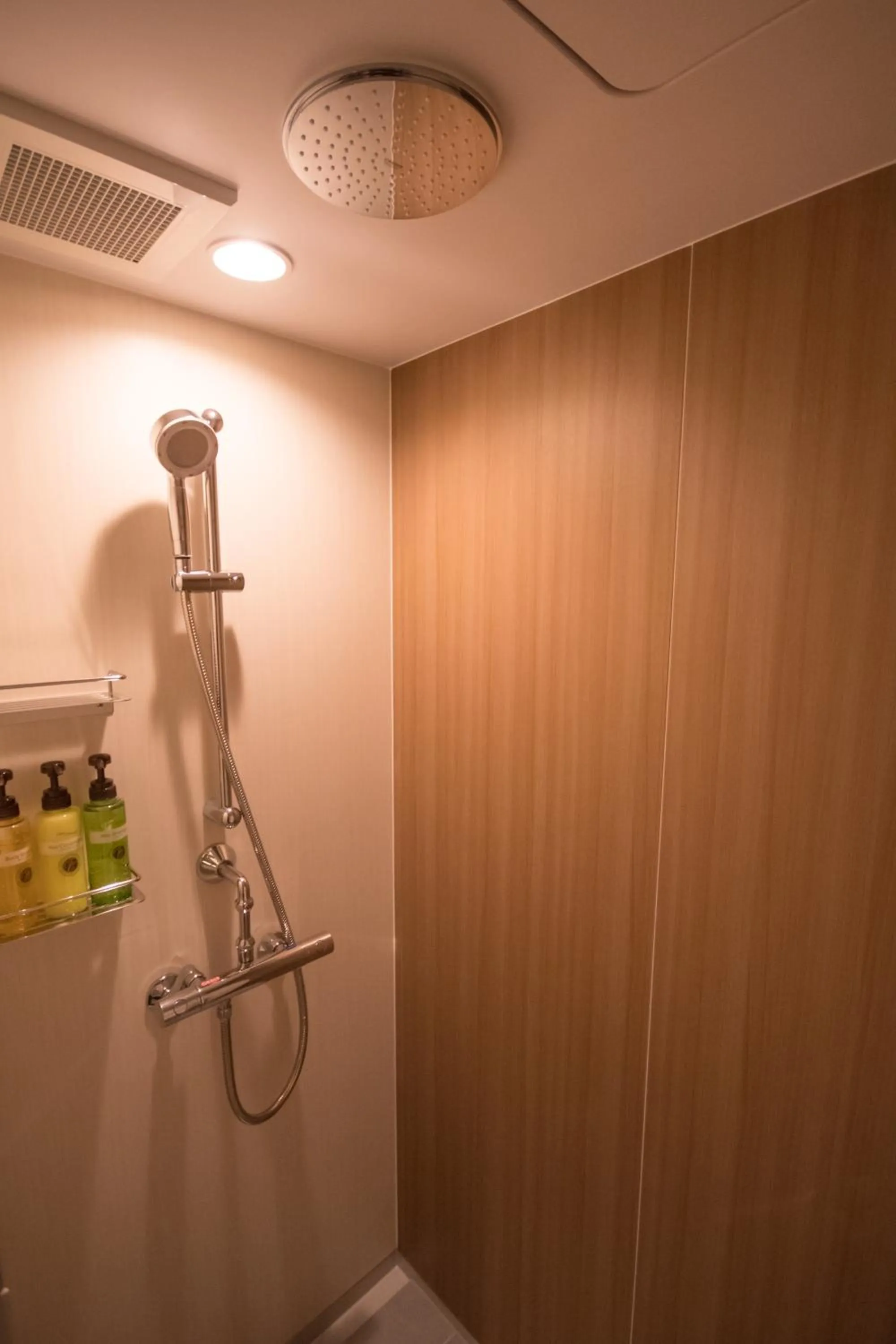 Shower in Hotel Epinard Nasu