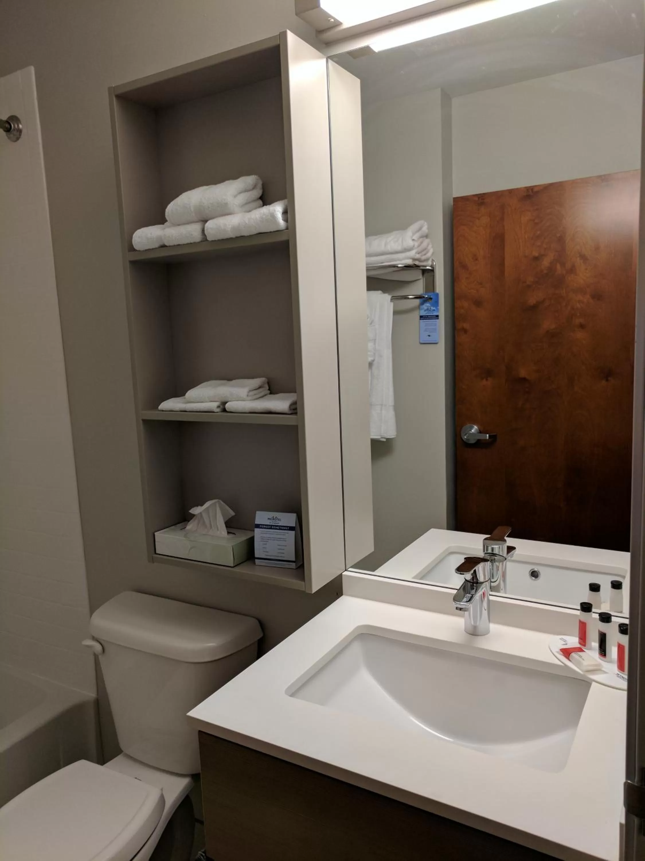 Shower in Microtel Inn & Suites by Wyndham Clarion