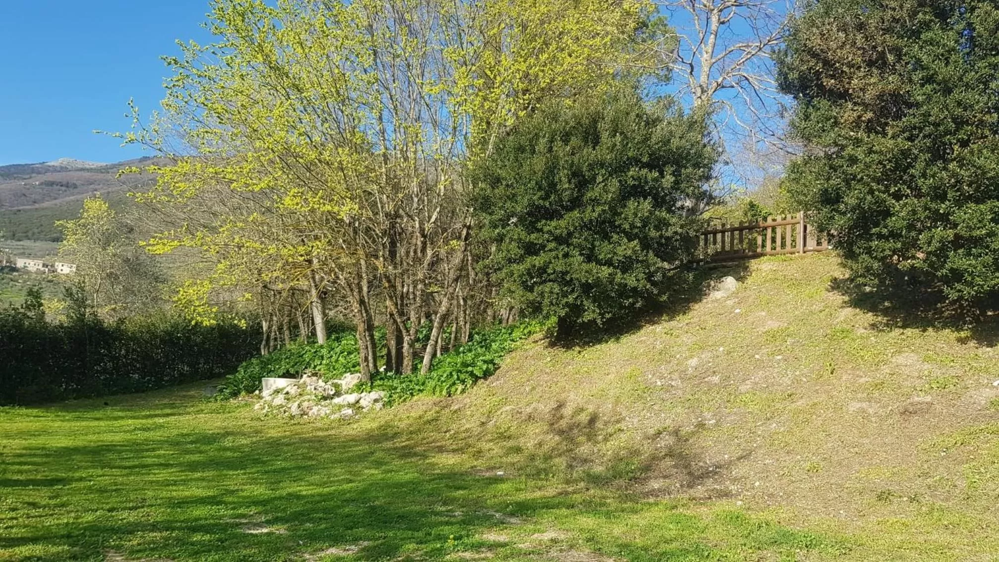 Garden in Domus Antiqua Bed & Breakfast