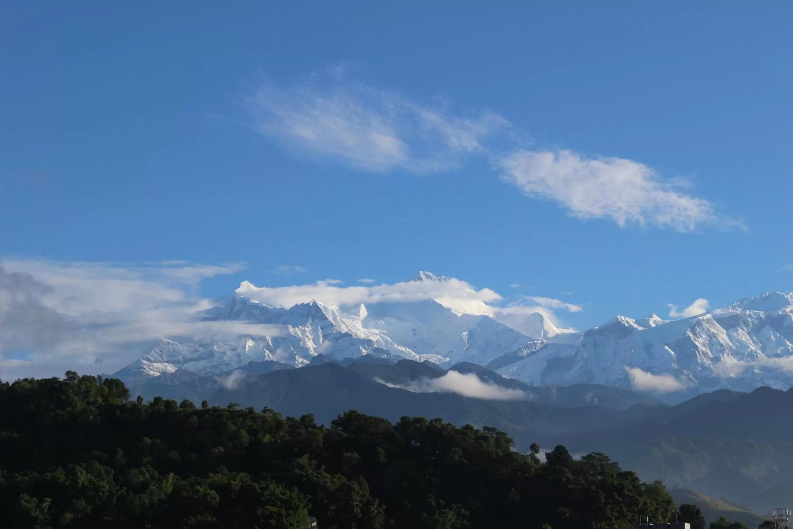 Mountain view in Hotel Buttercup